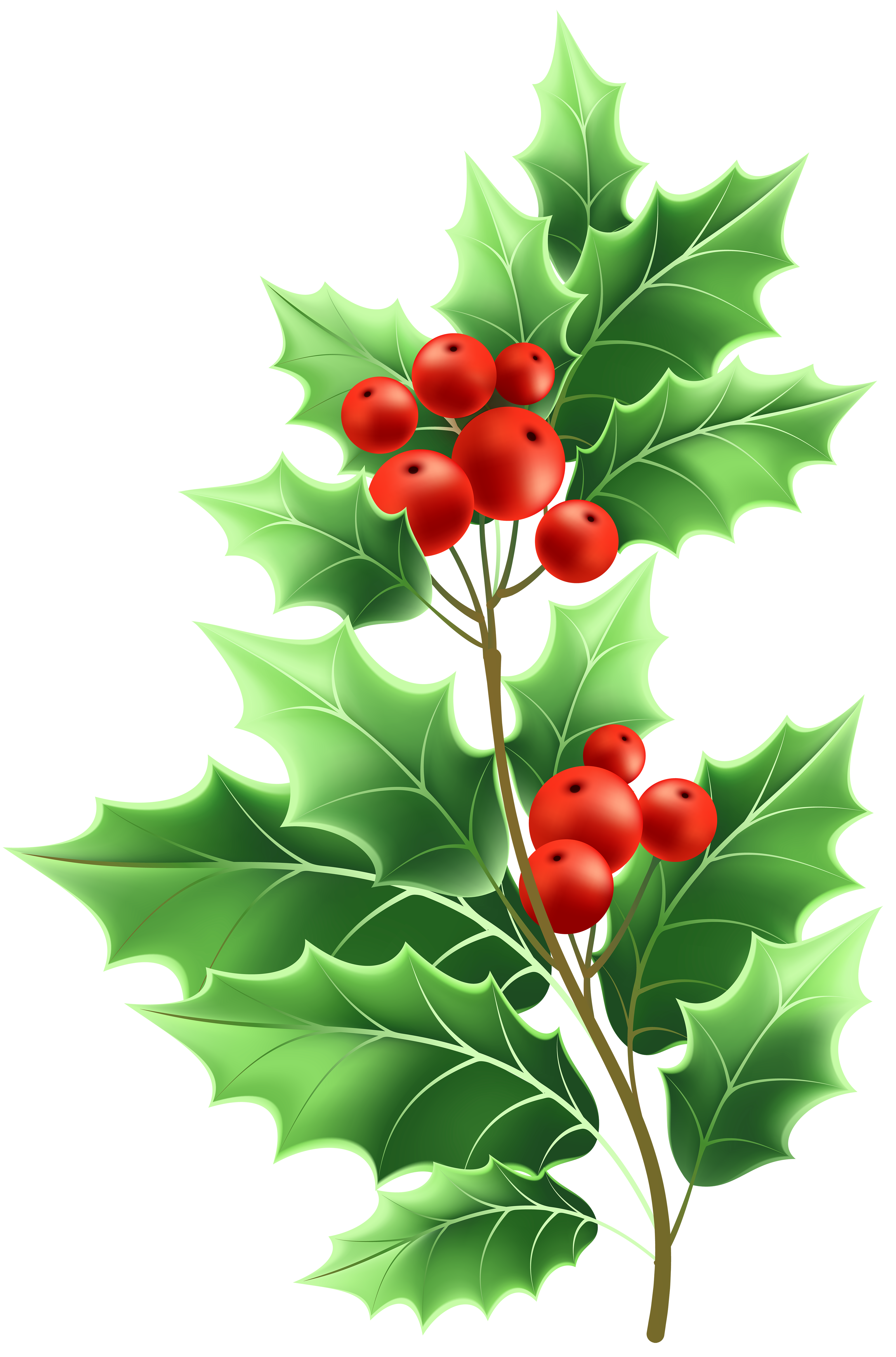 Christmas Mistletoe Transparent PNG Clip Art | Gallery ...
