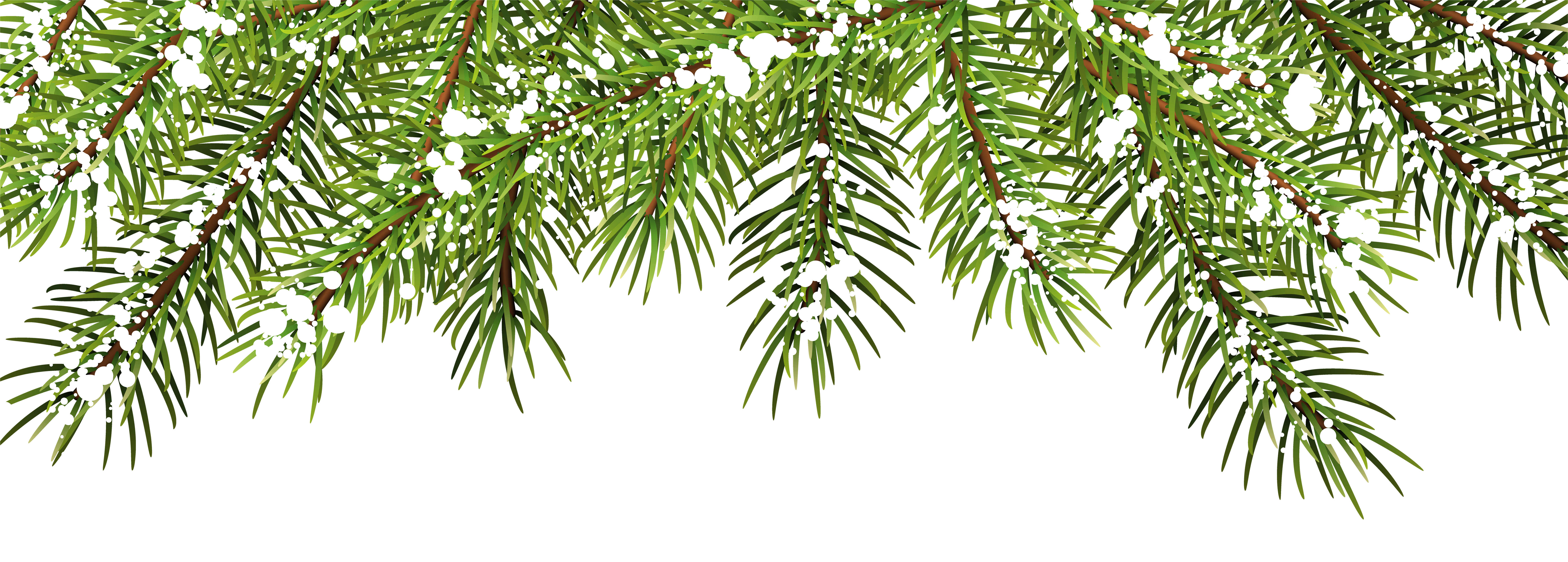 Pine Branches PNG Clipart​  Gallery Yopriceville - High-Quality Free  Images and Transparent PNG Clipart