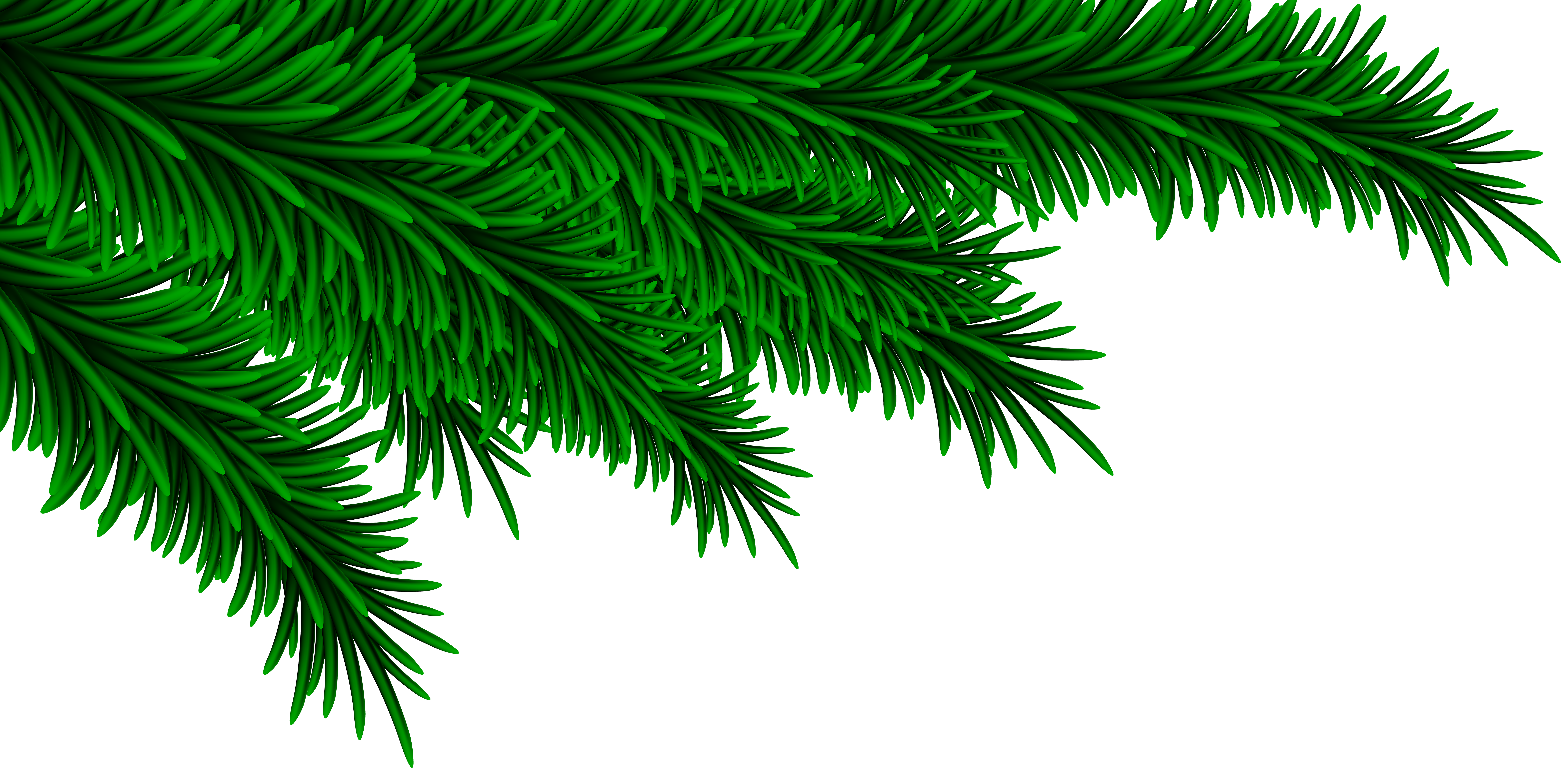 Christmas Pine Branches Decorating PNG Clip Art Image | Gallery