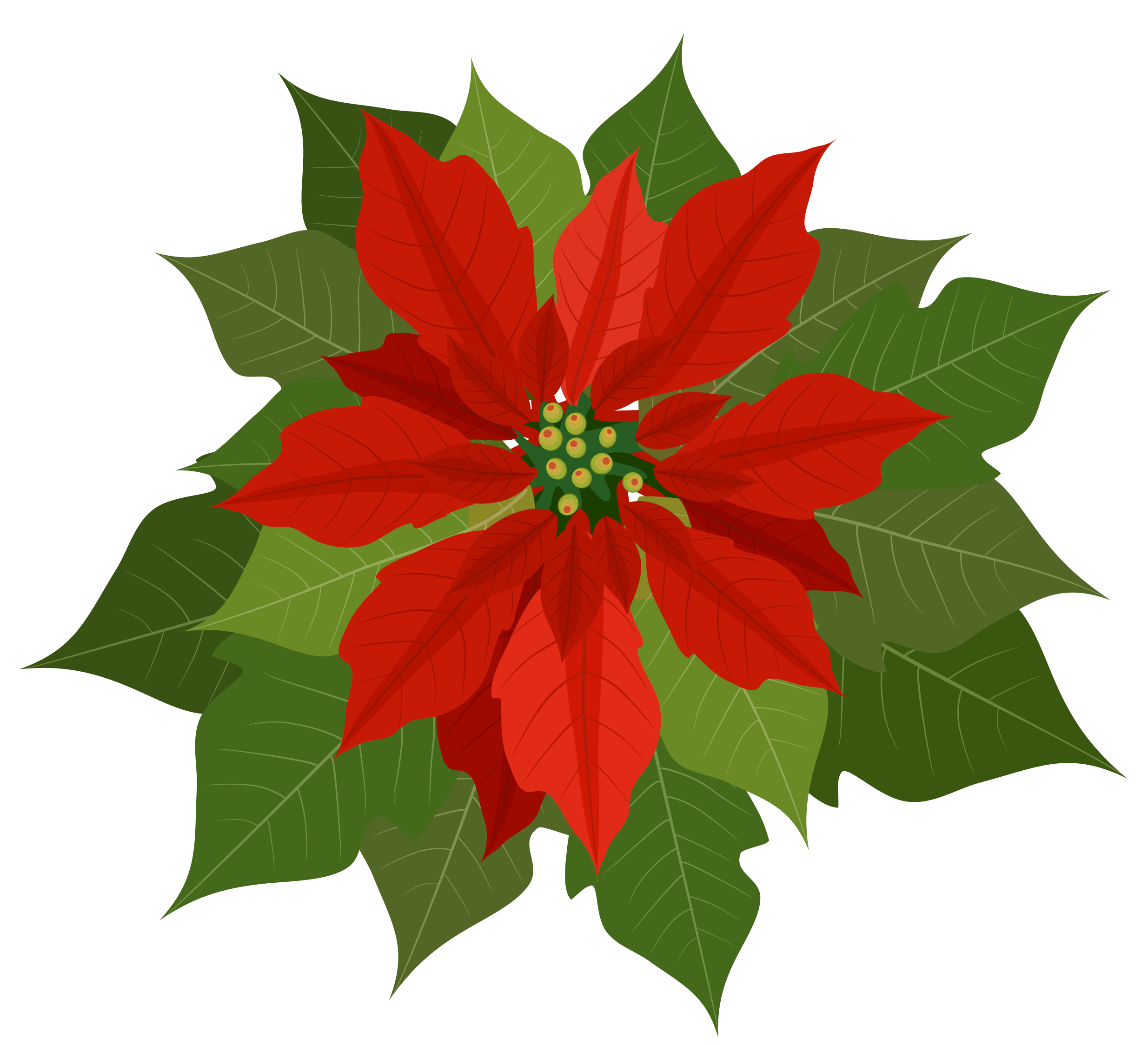 Christmas Poinsettia PNG Clipart Gallery Yopriceville