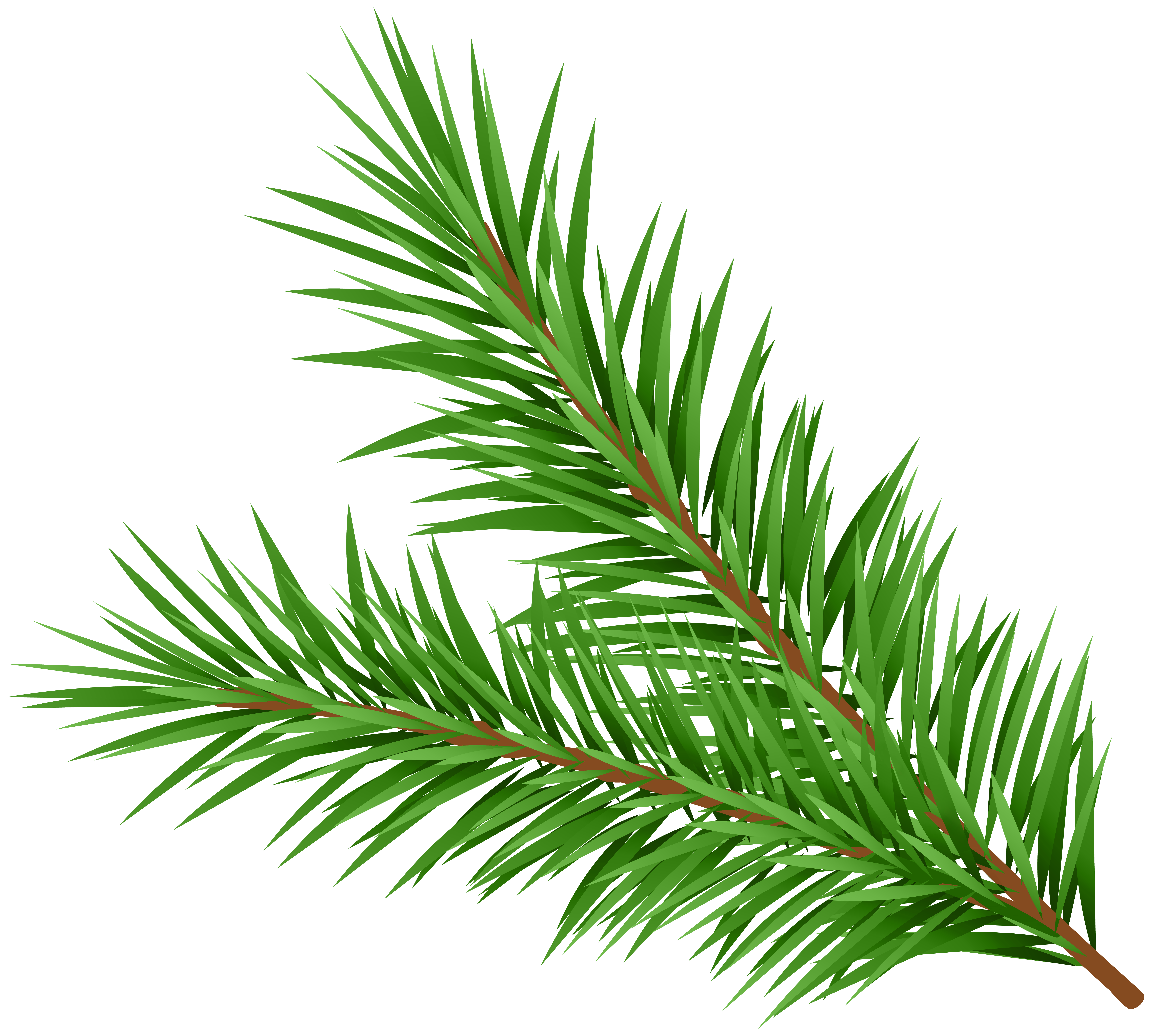 Red Christmas Ribbon with Pine Branches PNG Clipart Image​  Gallery  Yopriceville - High-Quality Free Images and Transparent PNG Clipart