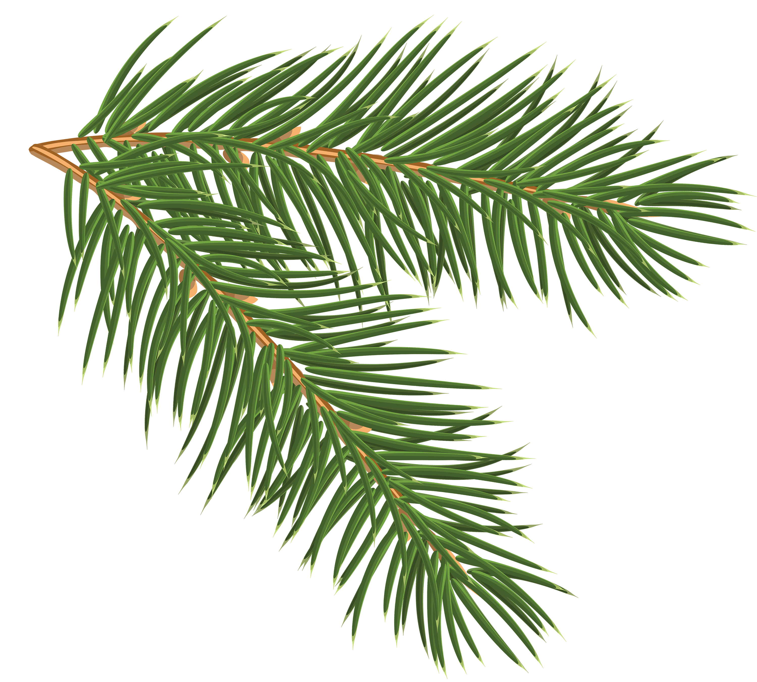Pine Branch PNG Clip-Art Image | Gallery Yopriceville - High-Quality