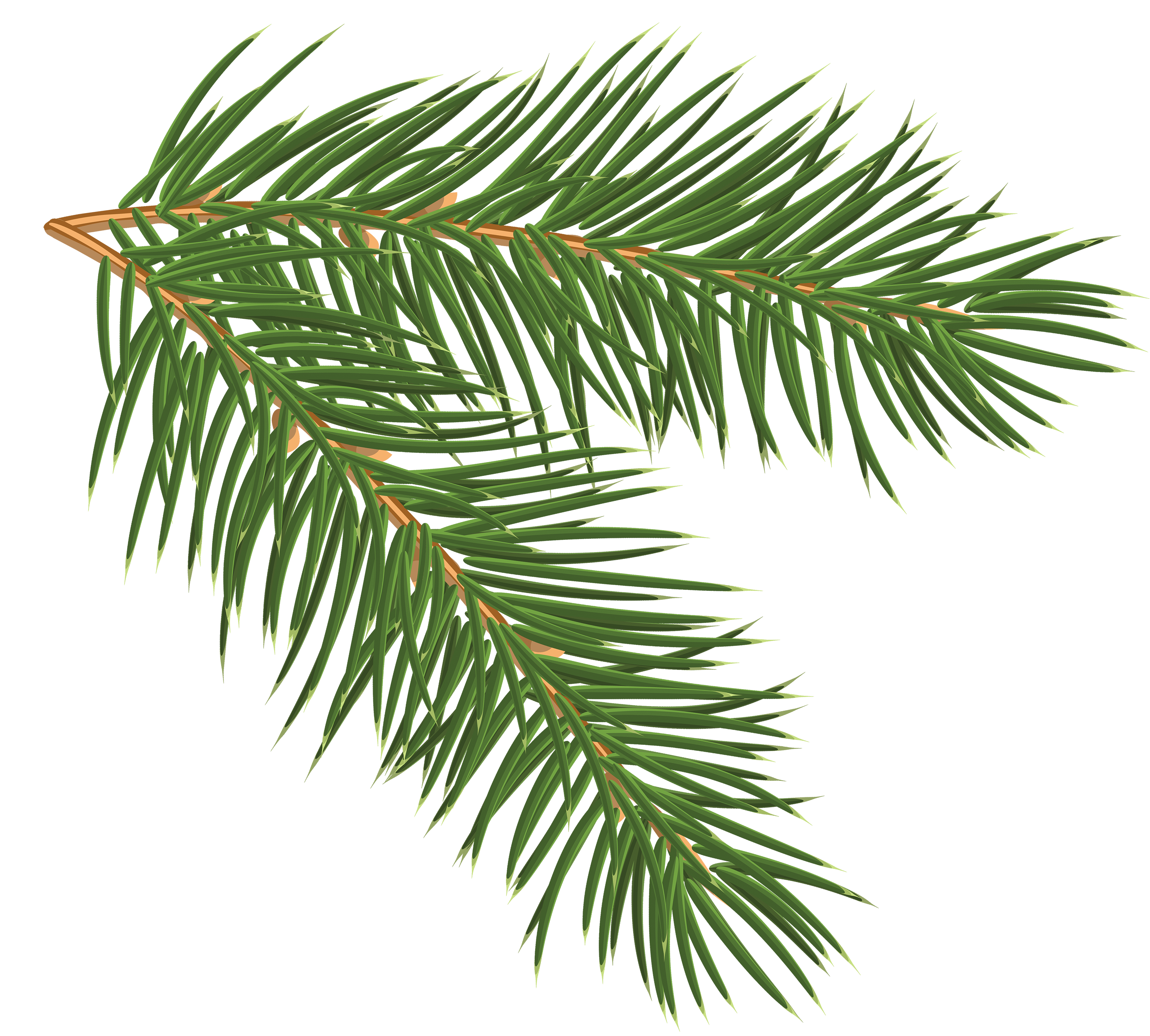 Red Christmas Ribbon with Pine Branches PNG Clipart Image​  Gallery  Yopriceville - High-Quality Free Images and Transparent PNG Clipart