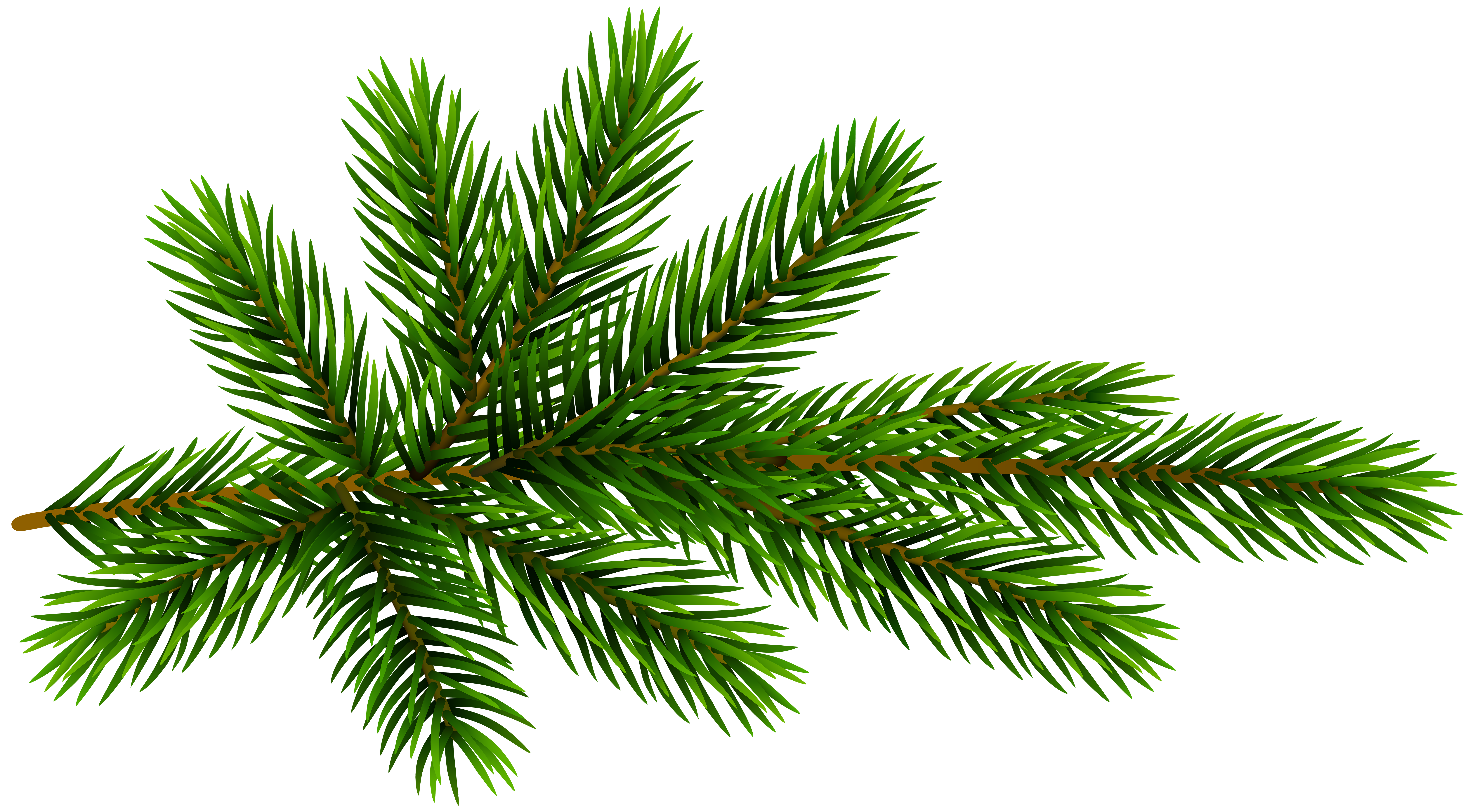 Pine Branch Transparent Clip Art | Gallery Yopriceville - High-Quality