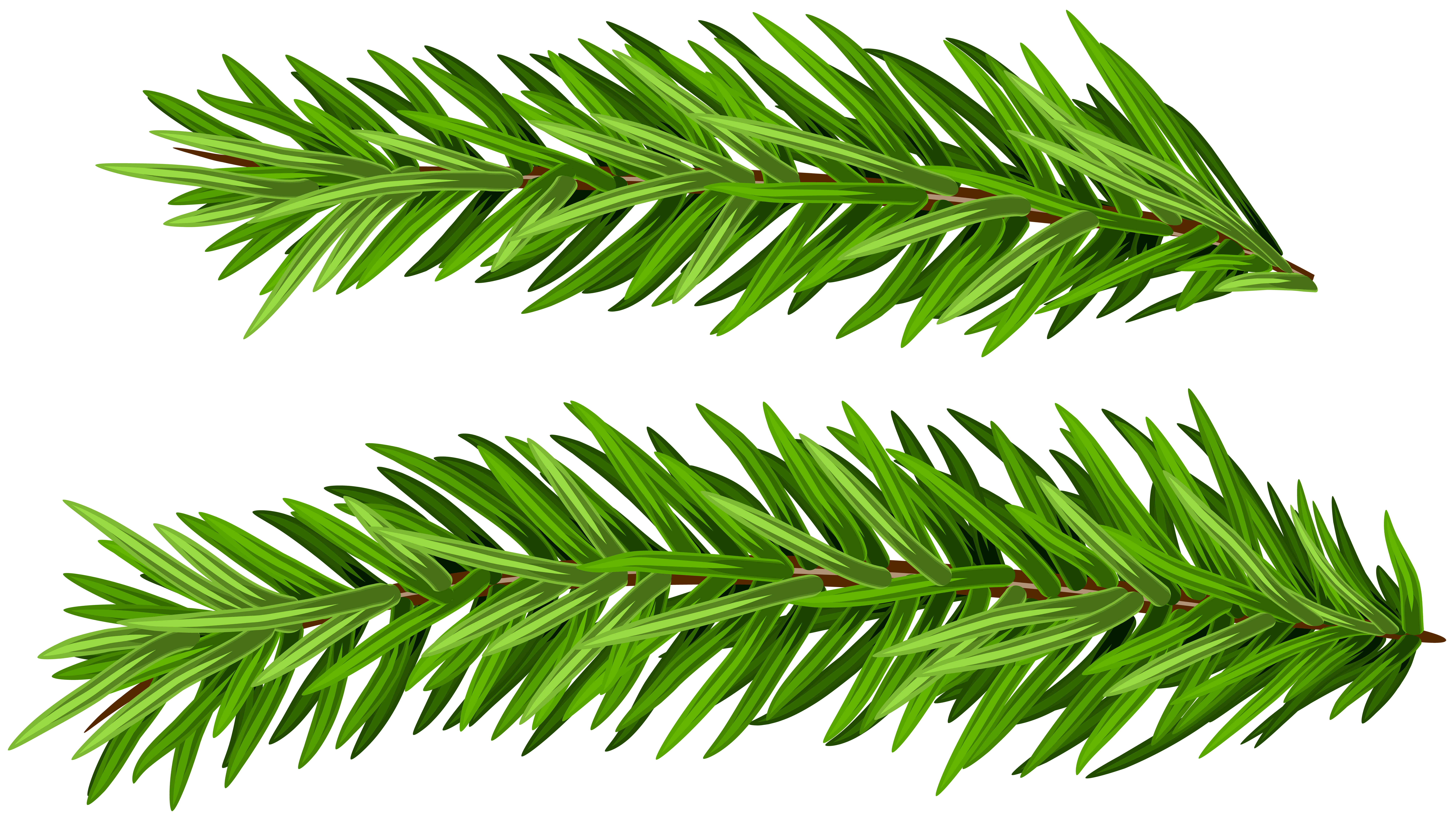 Pine Branches Set Clip Art Image | Gallery Yopriceville - High-Quality