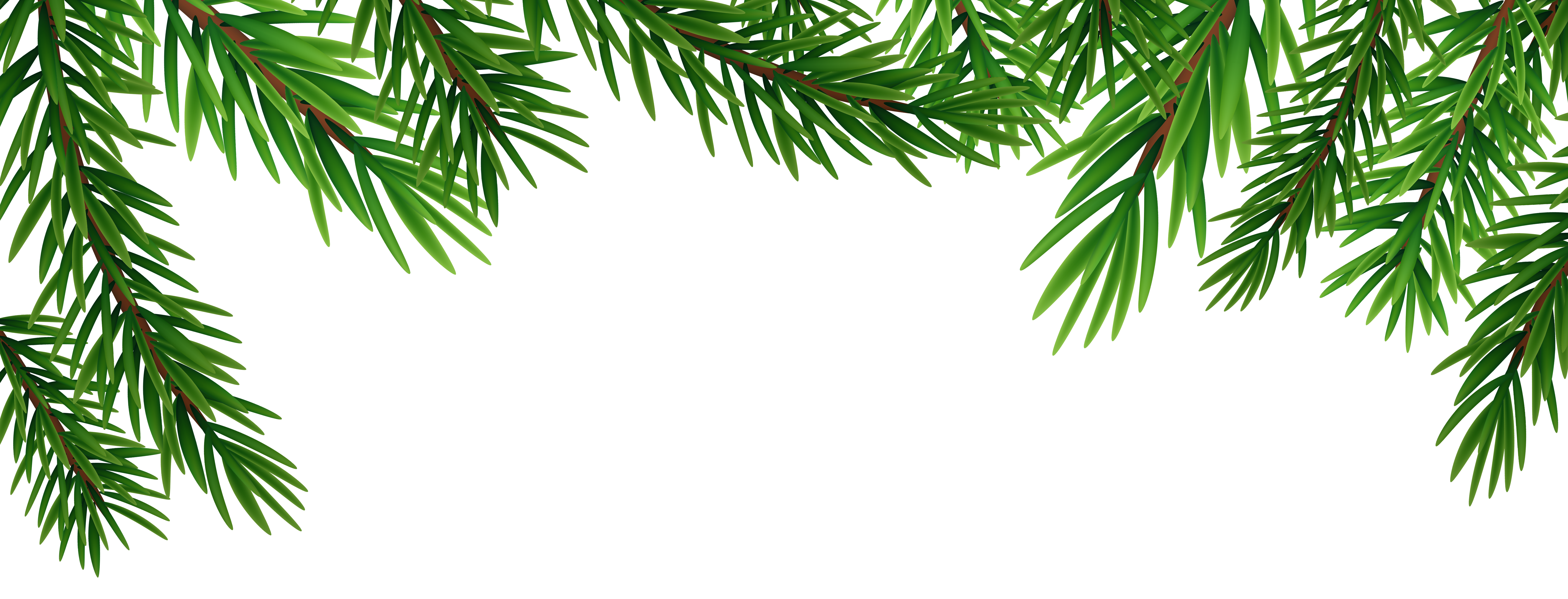 Pine Branches Top PNG Clipart | Gallery Yopriceville - High-Quality