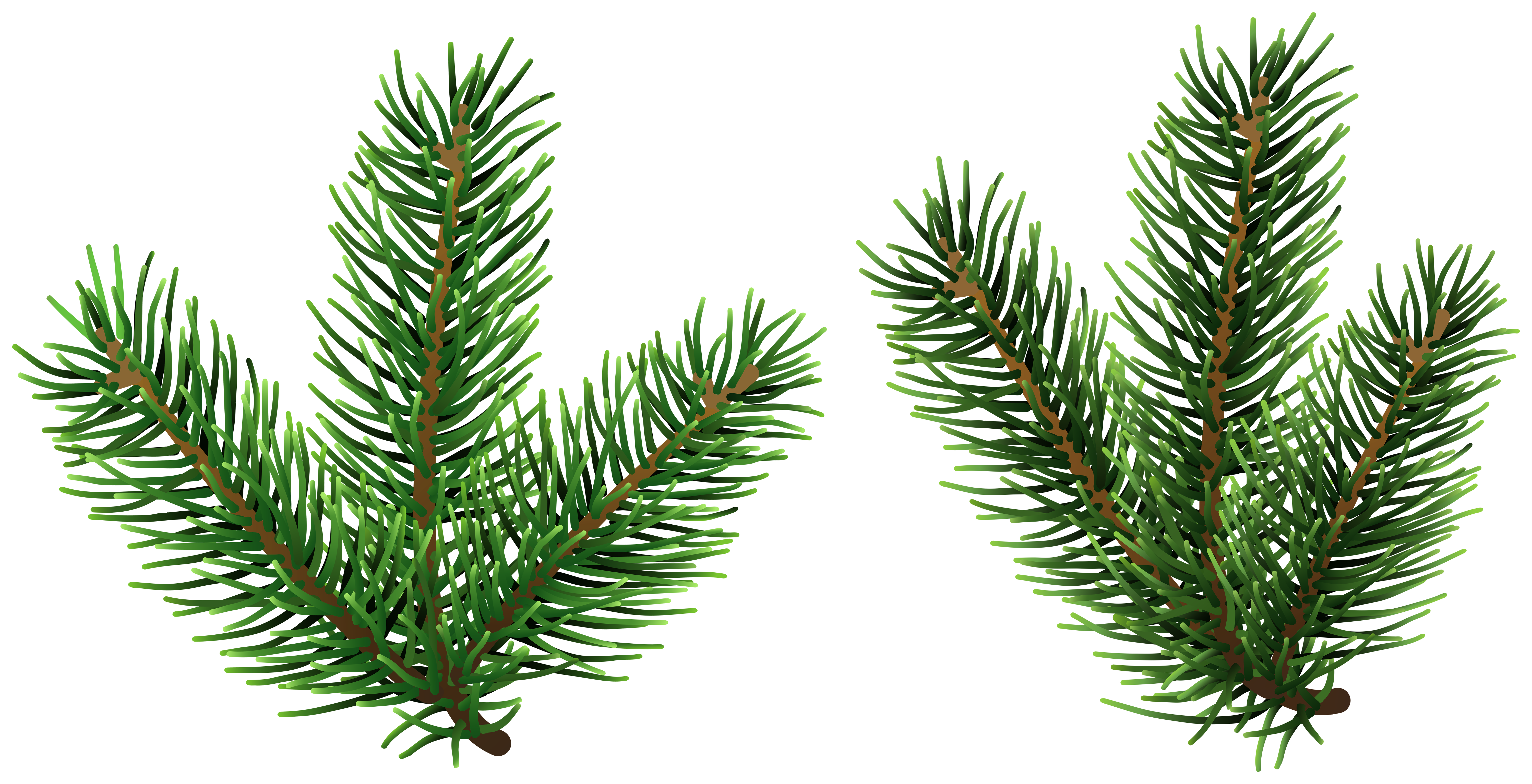 Pine Tree Branches PNG Clip Art | Gallery Yopriceville - High-Quality