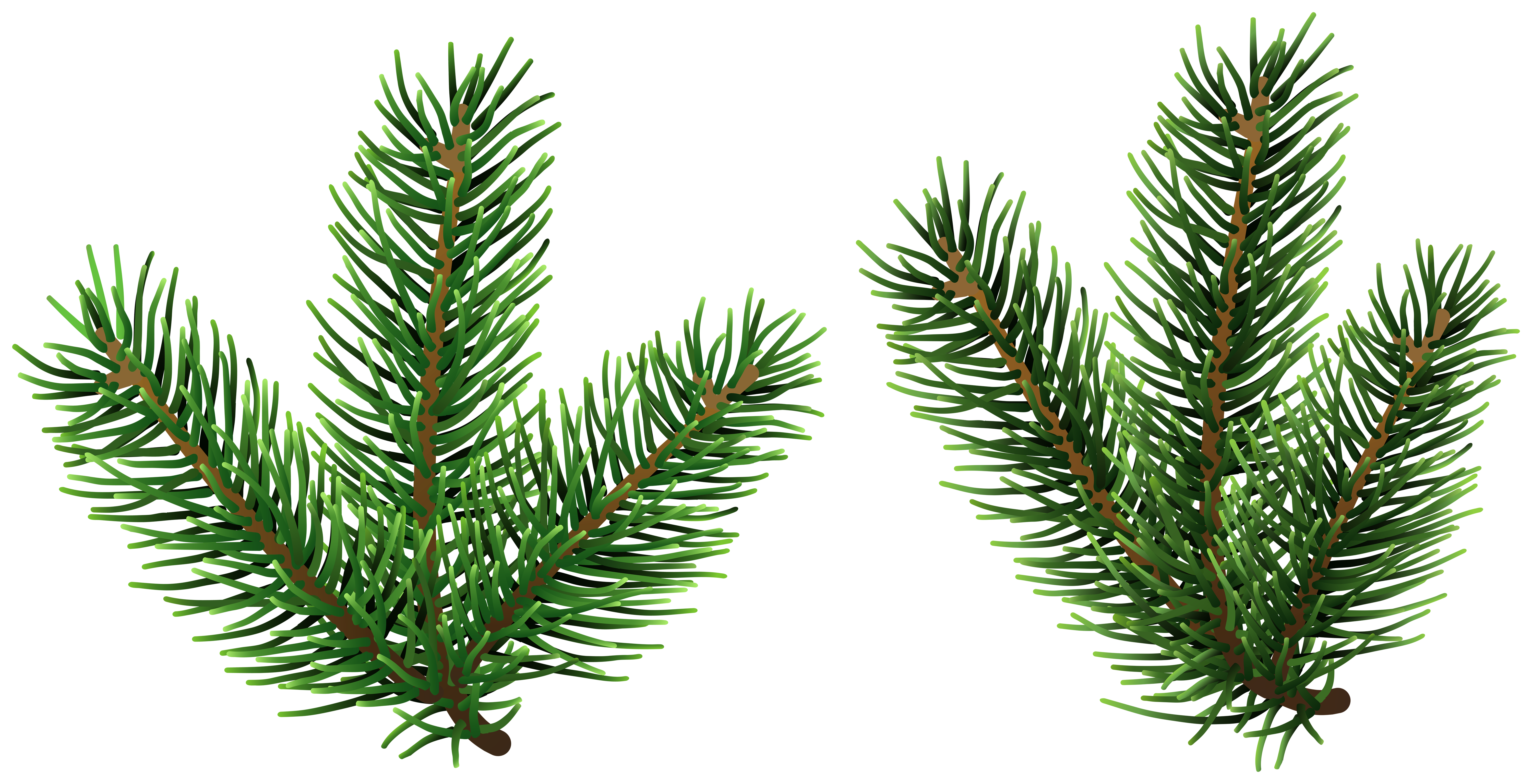 Pine Tree Branches PNG Clip Art | Gallery Yopriceville - High-Quality Pine Tree Branches PNG Clip Art | Gallery Yopriceville - High-Quality