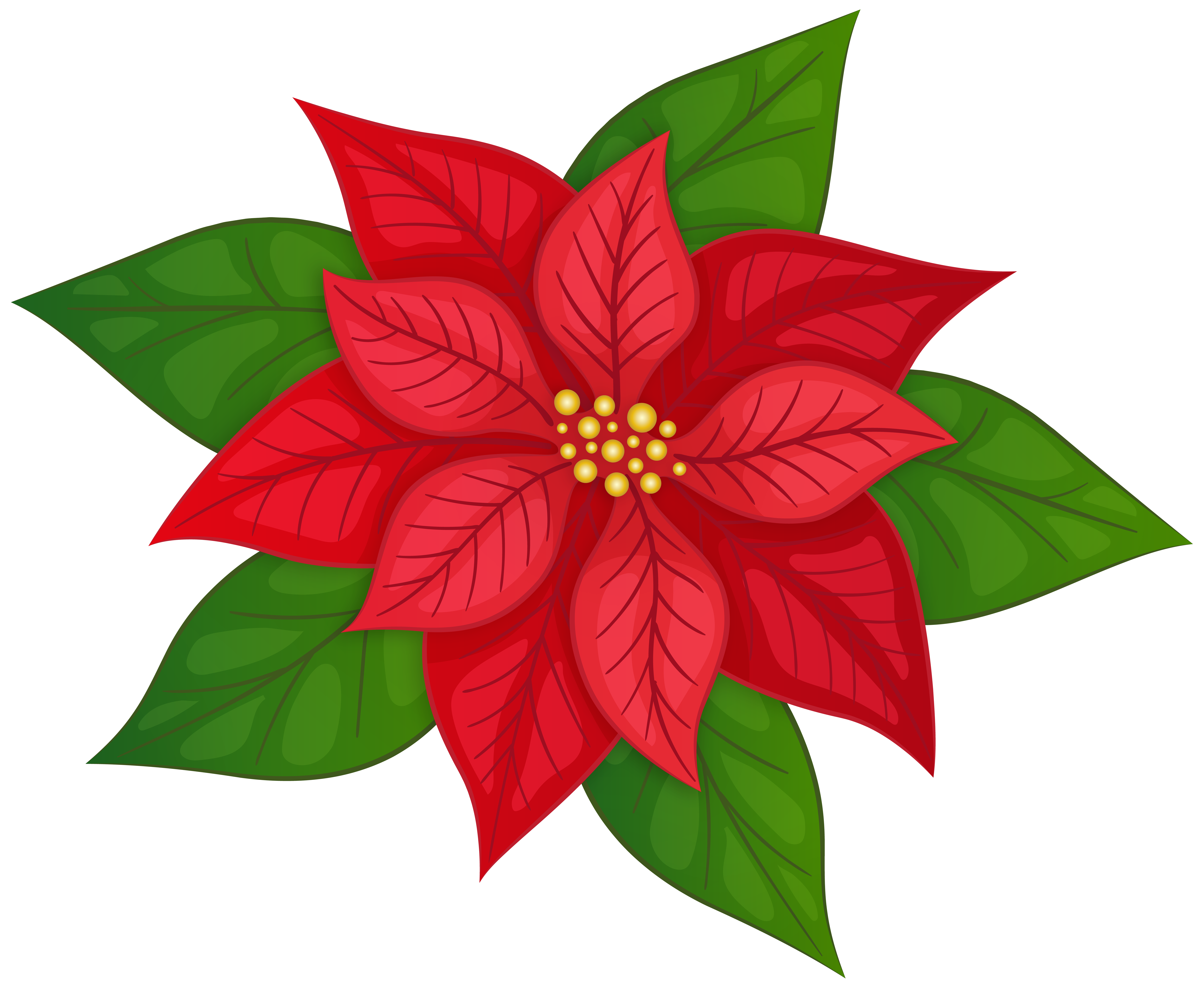 Poinsettia PNG Transparent Clipart​  Gallery Yopriceville - High-Quality  Free Images and Transparent PNG Clipart