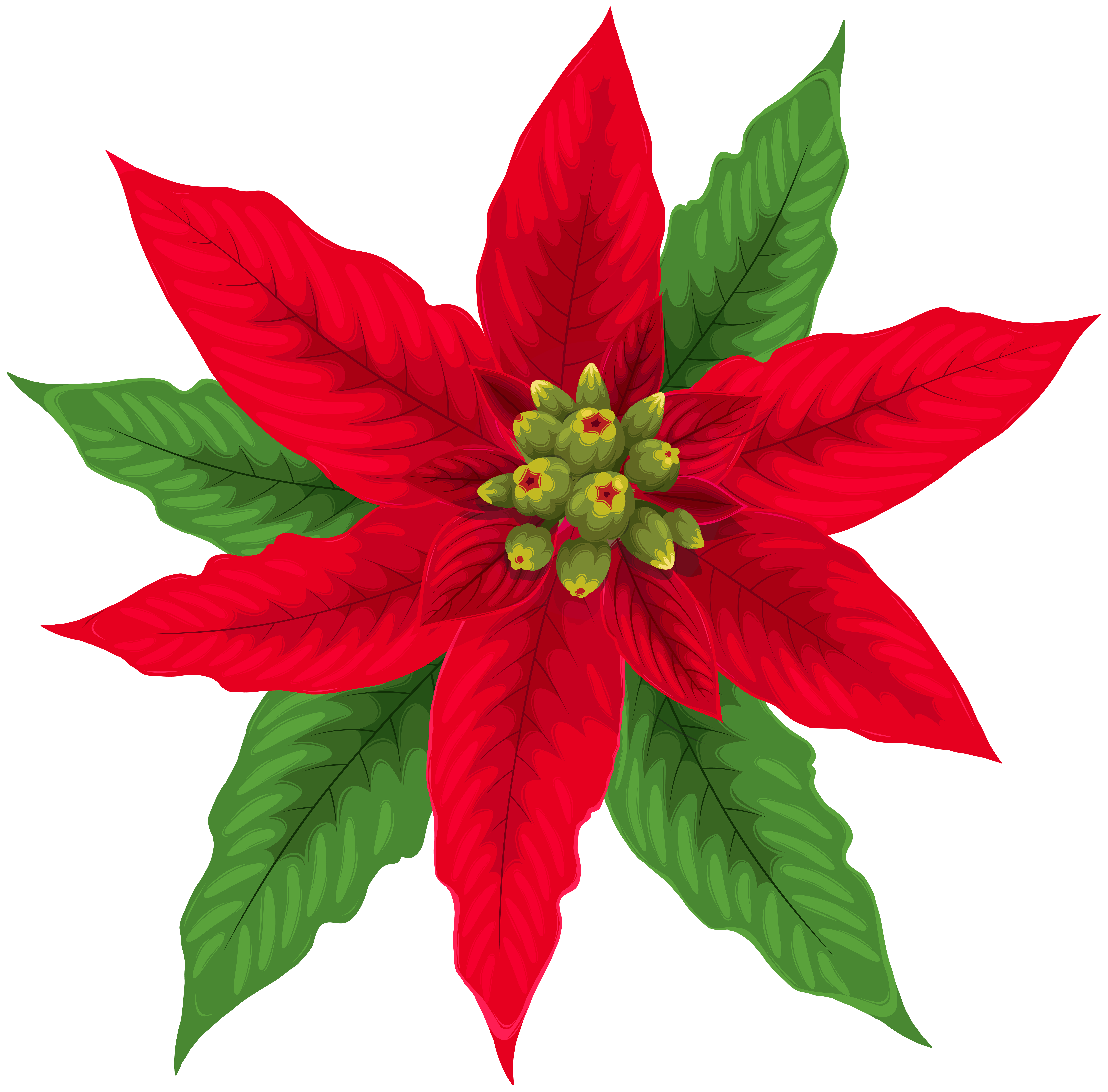 Red Poinsettia Christmas PNG Clipart | Gallery ...
