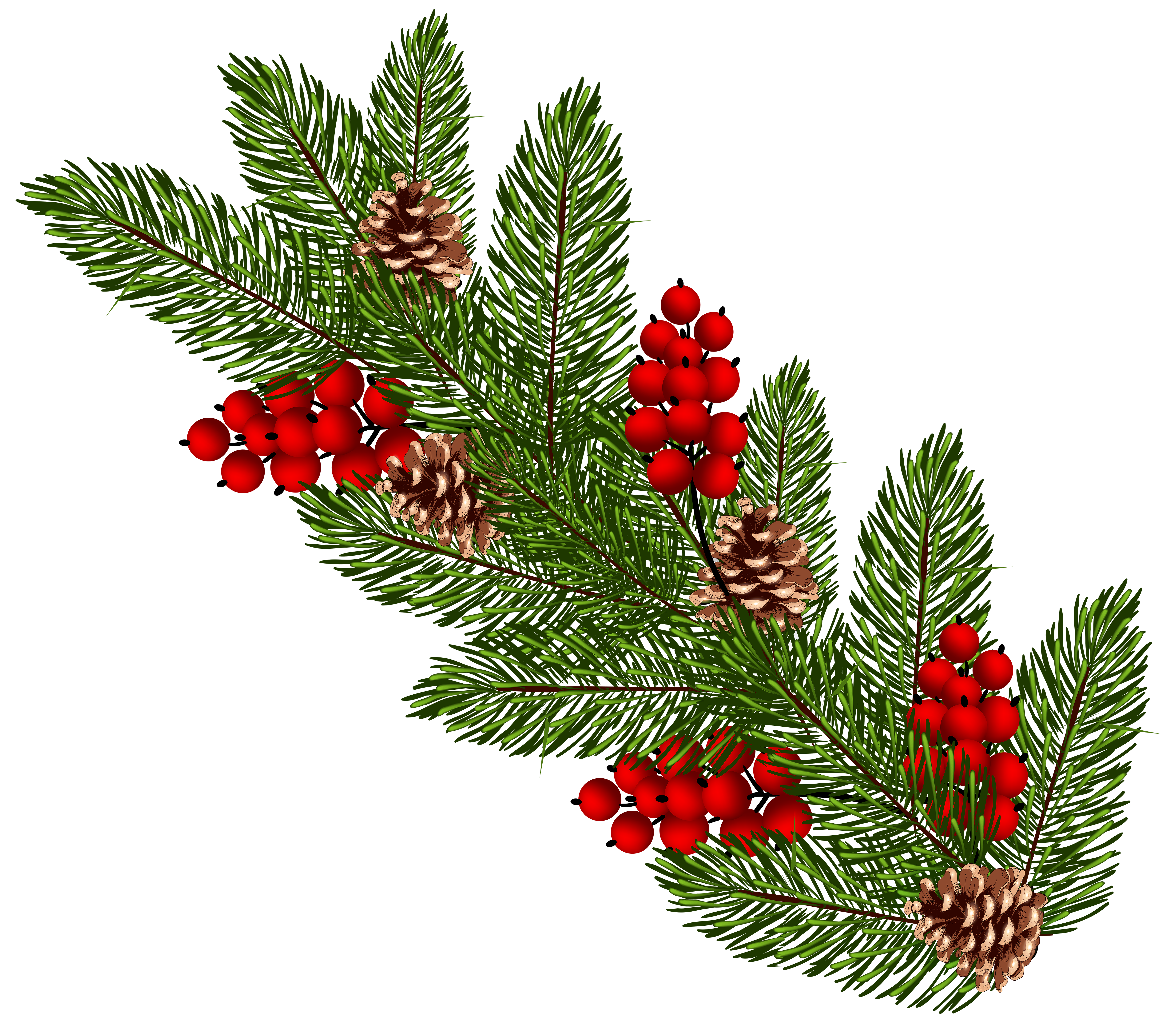 Transparent Christmas Pine Branch PNG Clip Art | Gallery Yopriceville