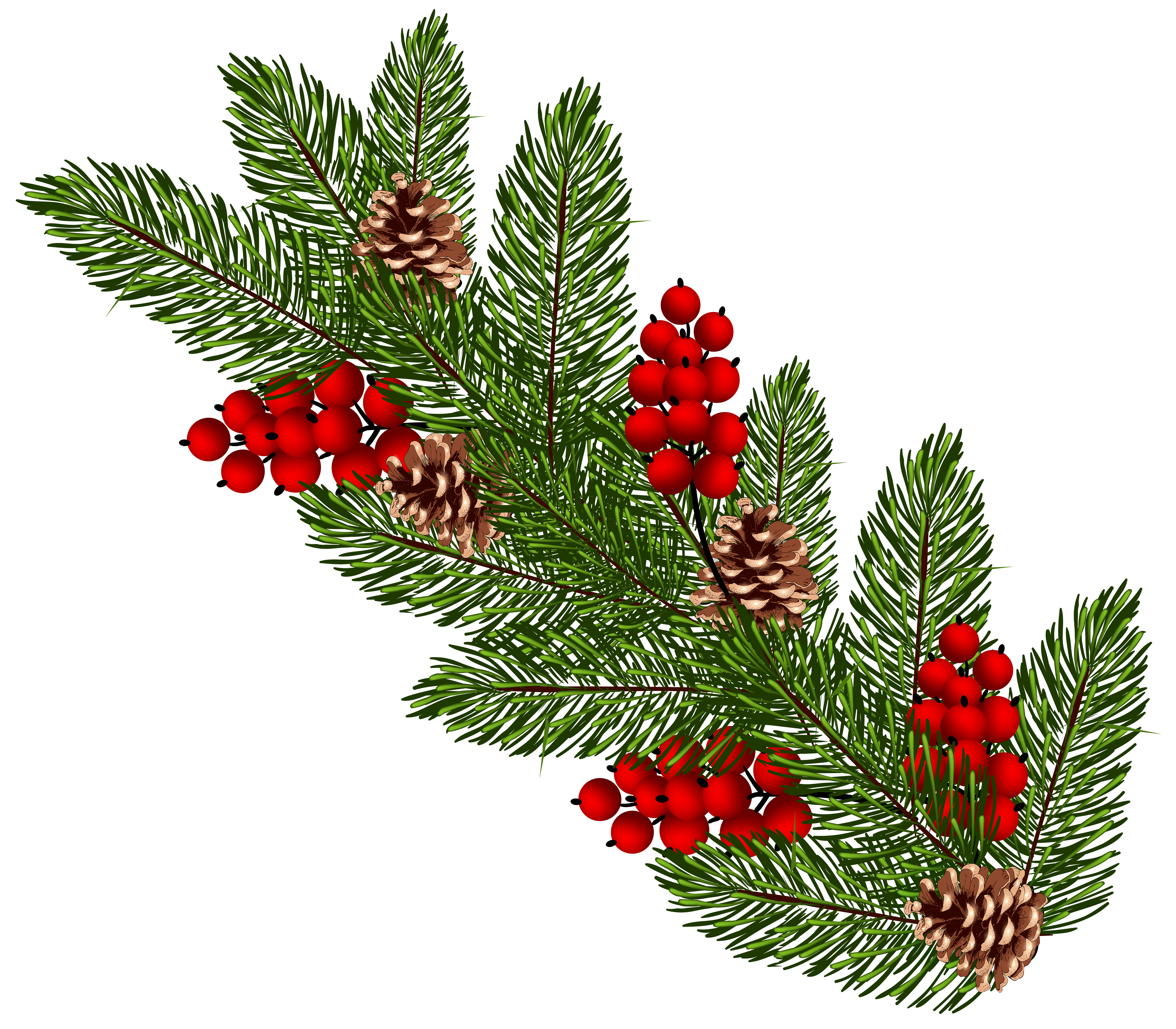 Pine Tree Branches Decor Clip Art Image​  Gallery Yopriceville -  High-Quality Free Images and Transparent PNG Clipart