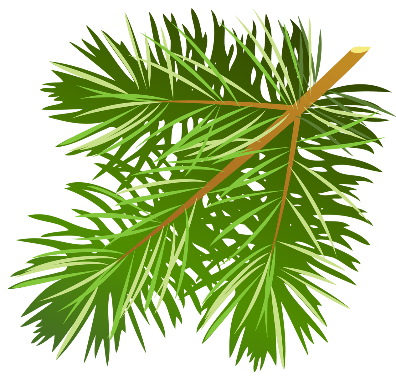 pine needle clip art