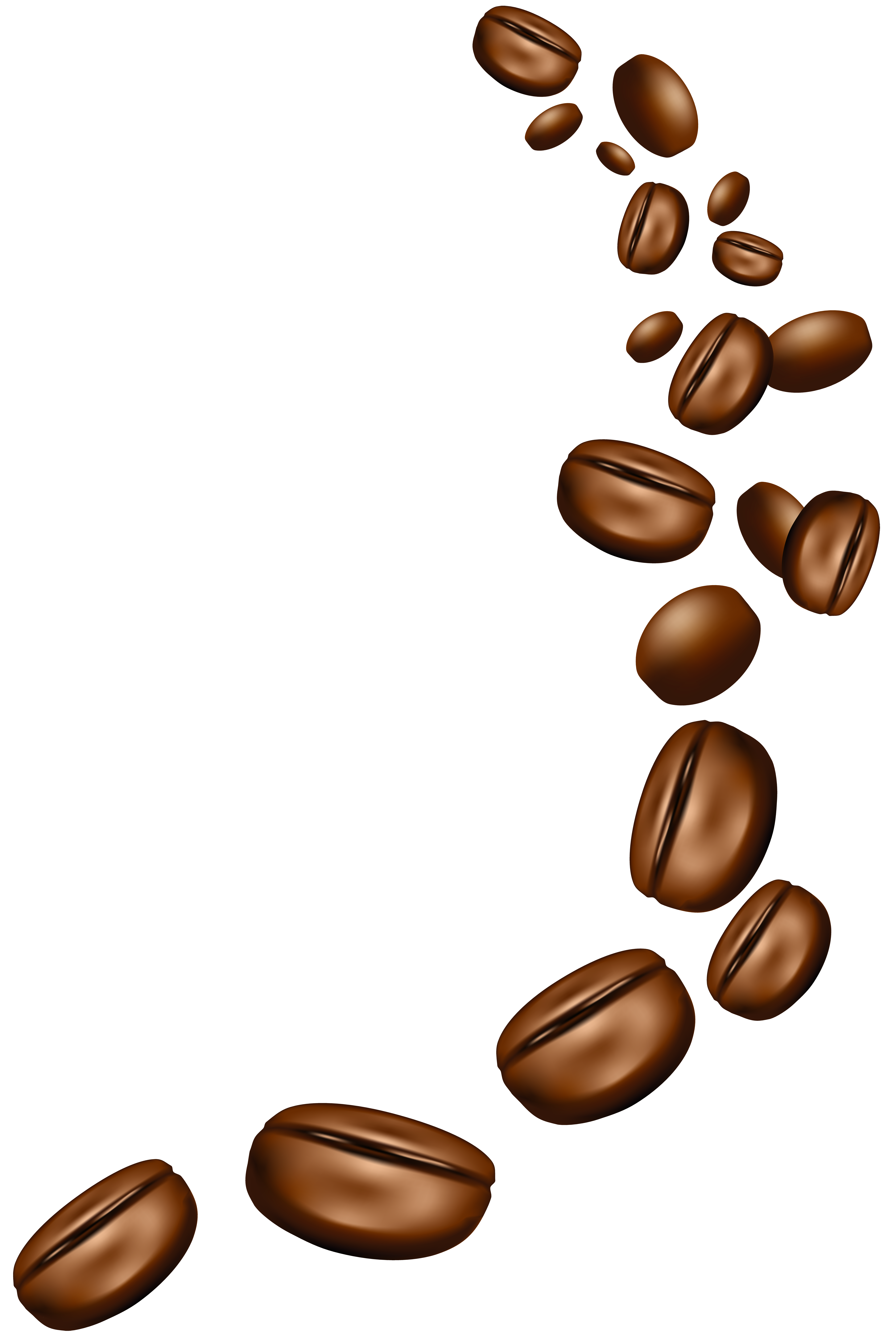 Coffee Beans Png Clipart Image