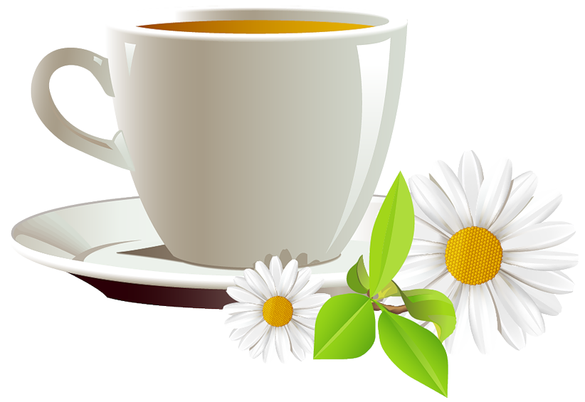 Cup of Coffee and Daisies PNG Clipart | Gallery Yopriceville - High