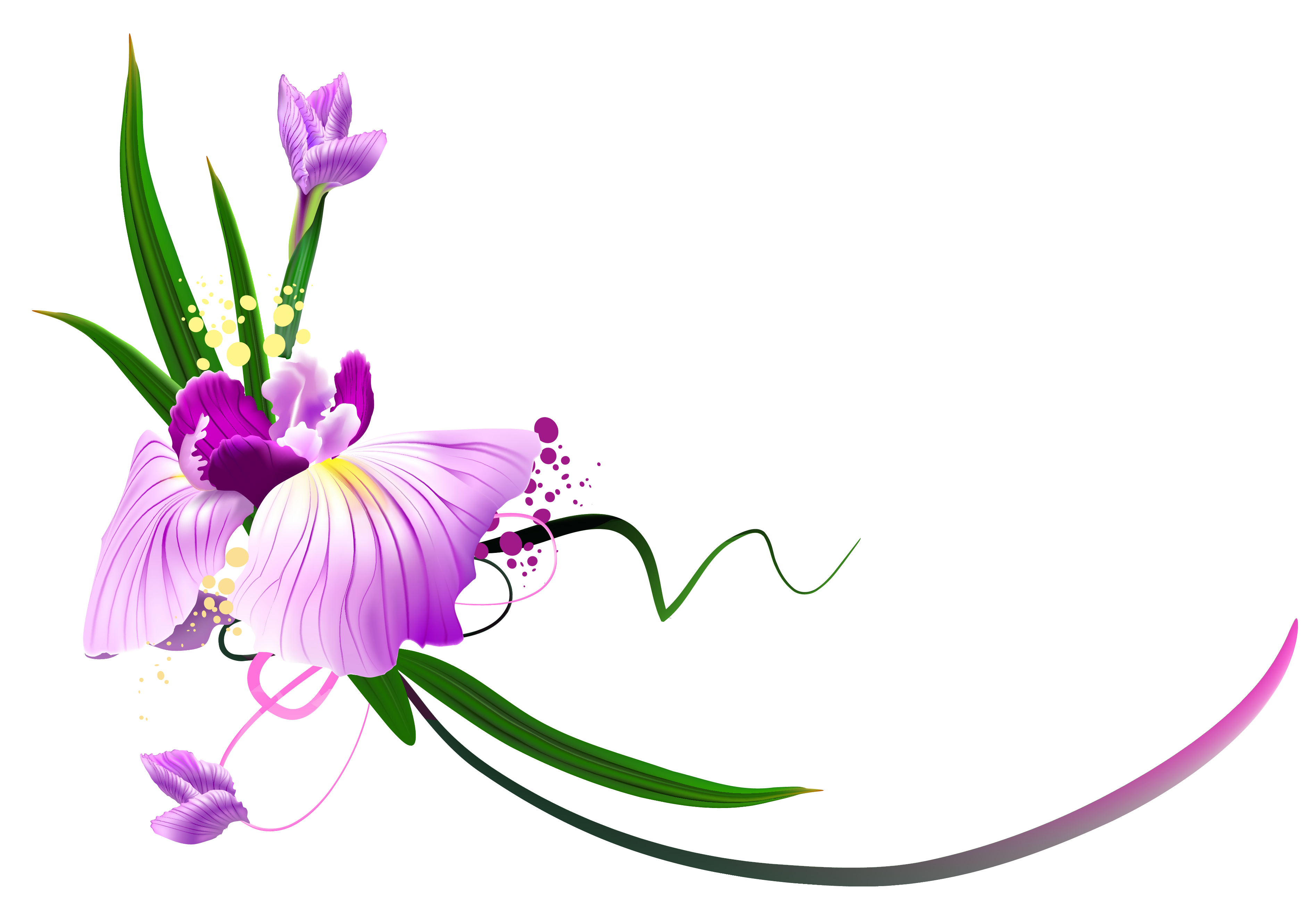 Beautiful Purple Floral Decor PNG Clipart​