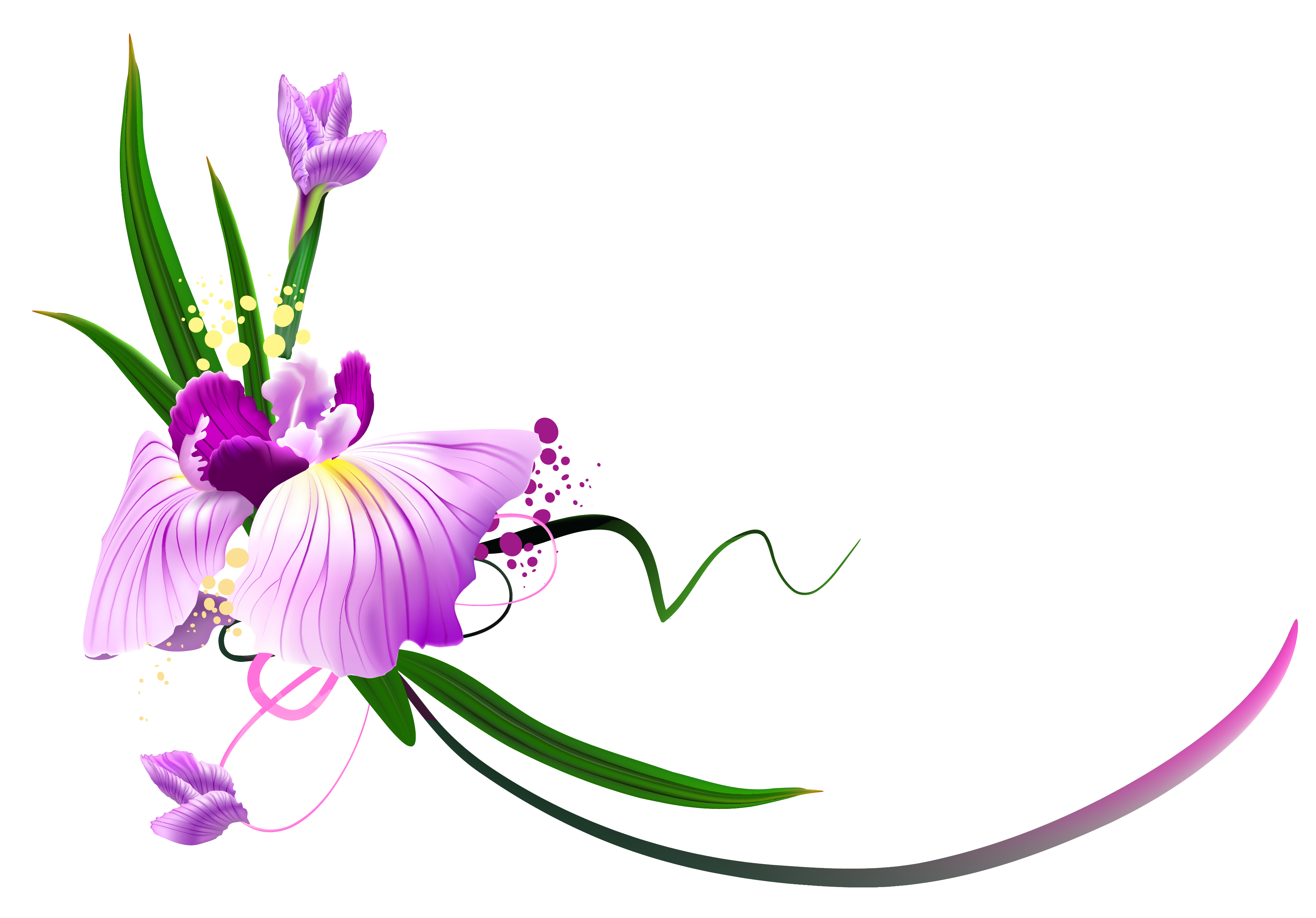 Beautiful Purple Floral Decor PNG Clipart | Gallery Yopriceville - High