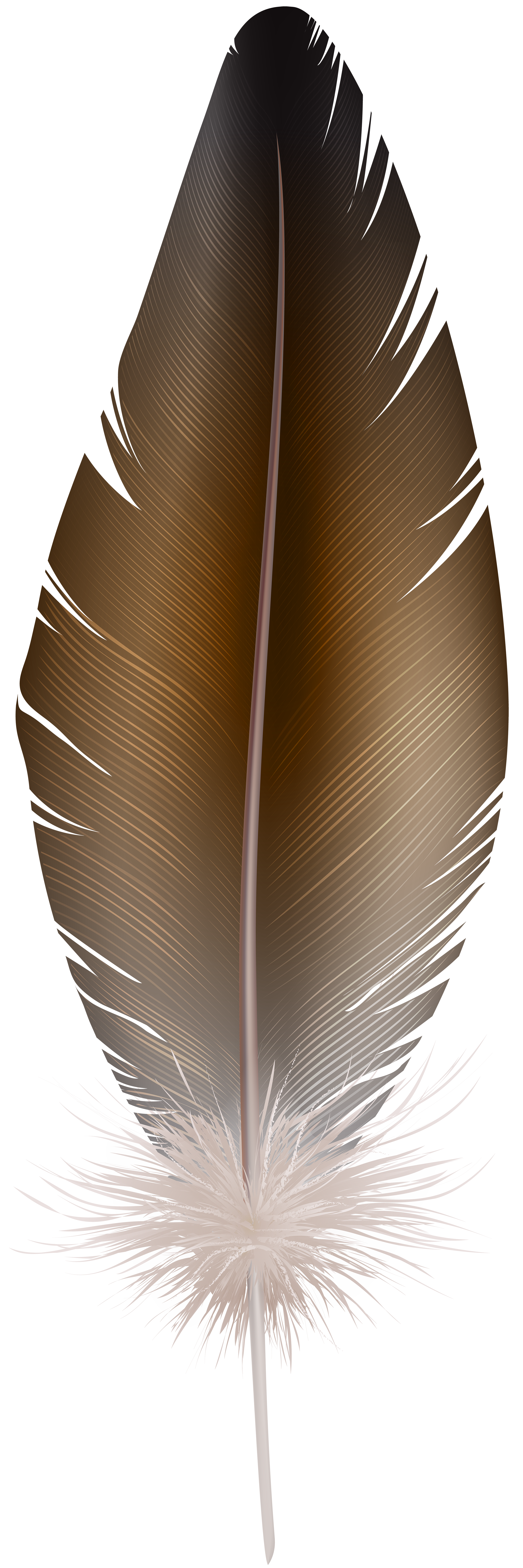 Brown Feather PNG Clip Art Imageu200b | Gallery Yopriceville - High-Quality  Free Images and Transparent PNG Clipart