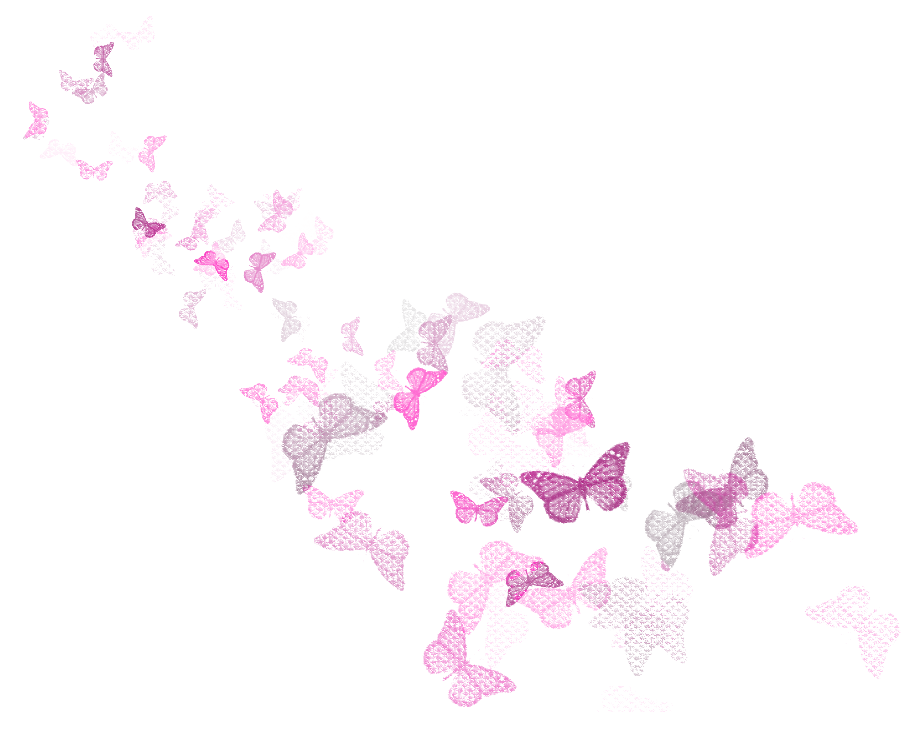 Butterflies Decoration PNG Clipart Picture Gallery Yopriceville