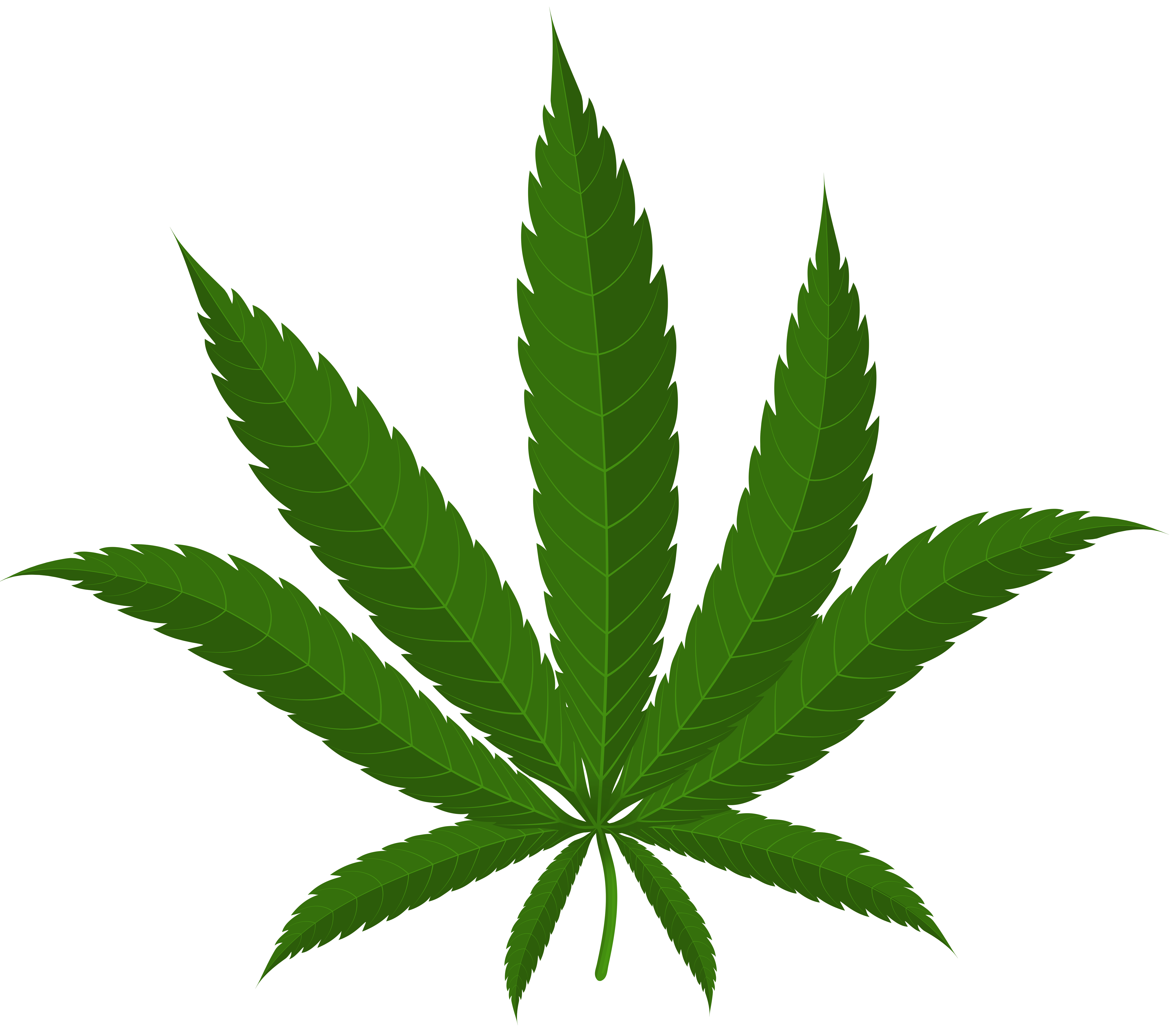 Cannabis Leaf PNG Clipart | Gallery Yopriceville - High-Quality Free ...