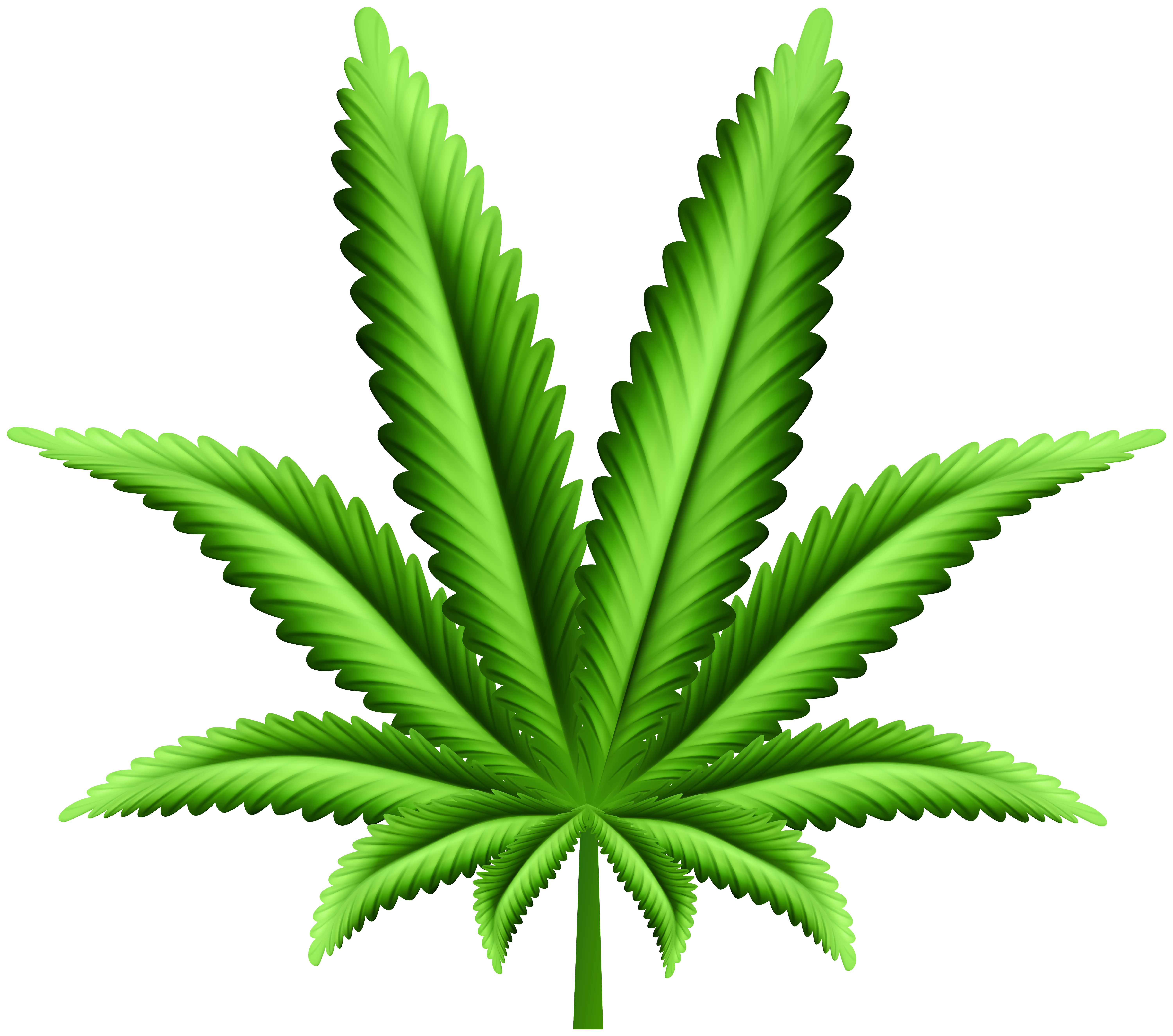 Cannabis Marijuana Leaf Png Clipart Gallery Yopriceville High Quality Images And Transparent Png Free Clipart ✓ free for commercial use ✓ high quality images. gallery yopriceville