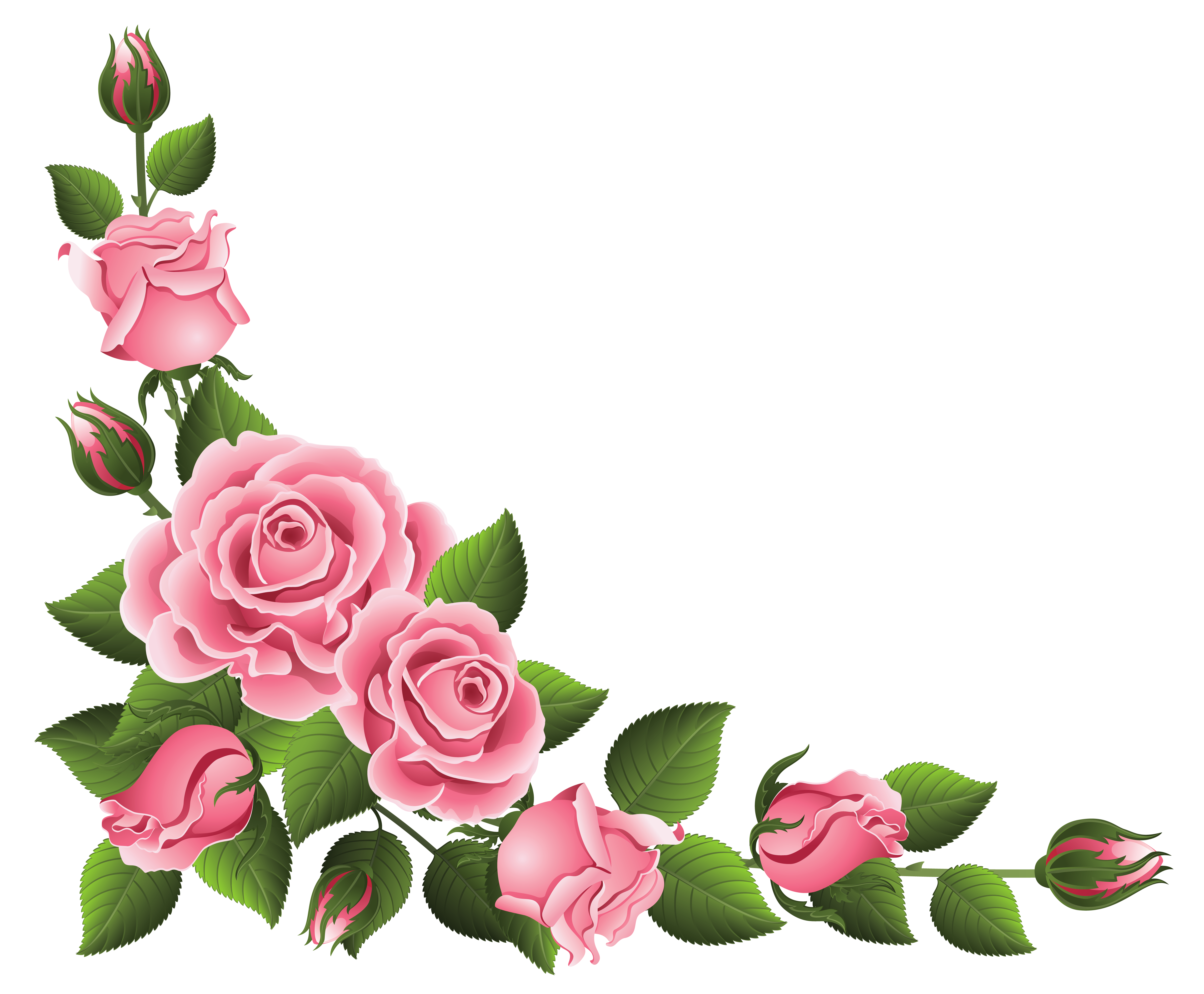 Corner Decoration with Roses PNG Clipart Picture  Gallery 