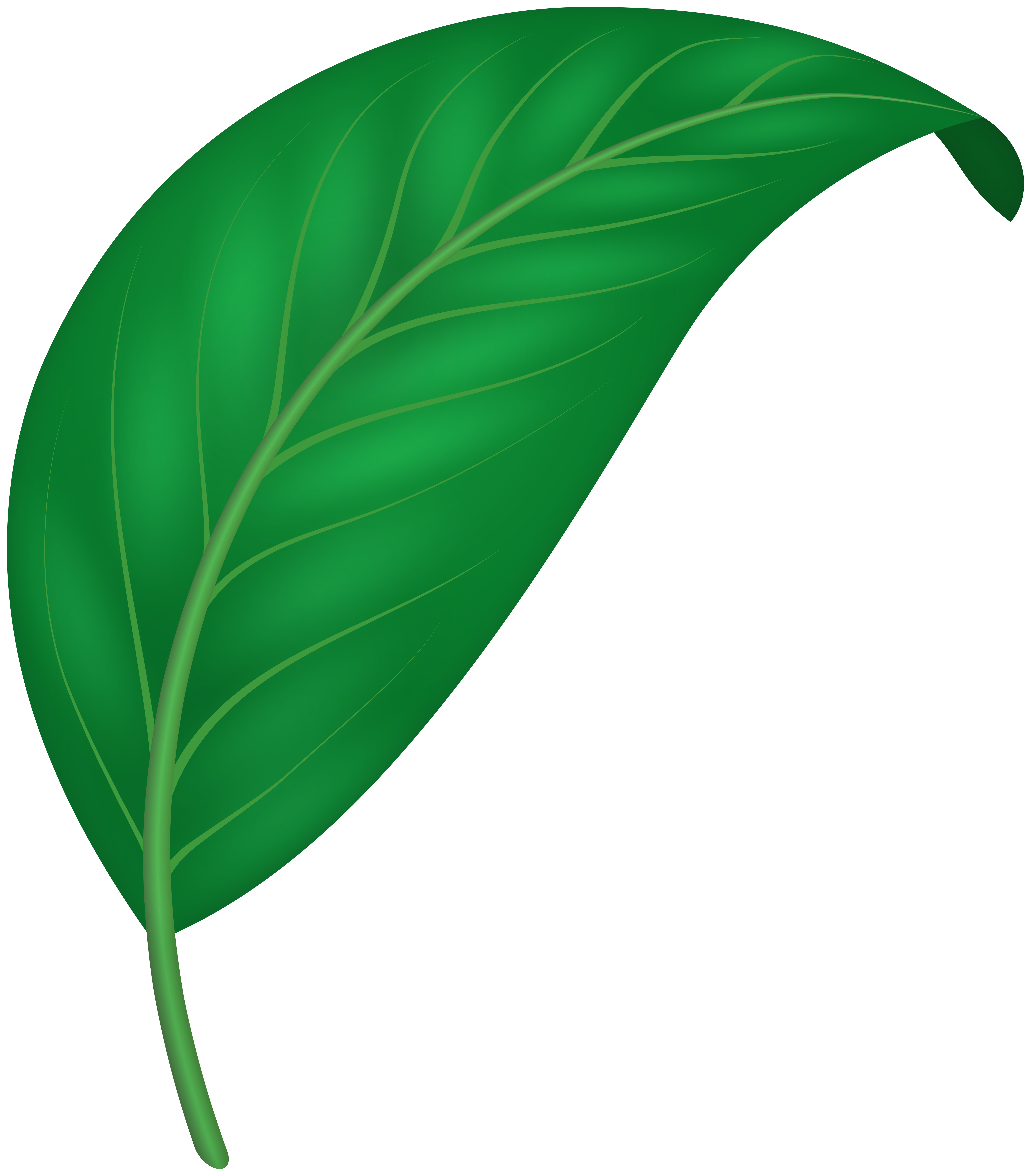 Decorative Green Leaf PNG Clipart​