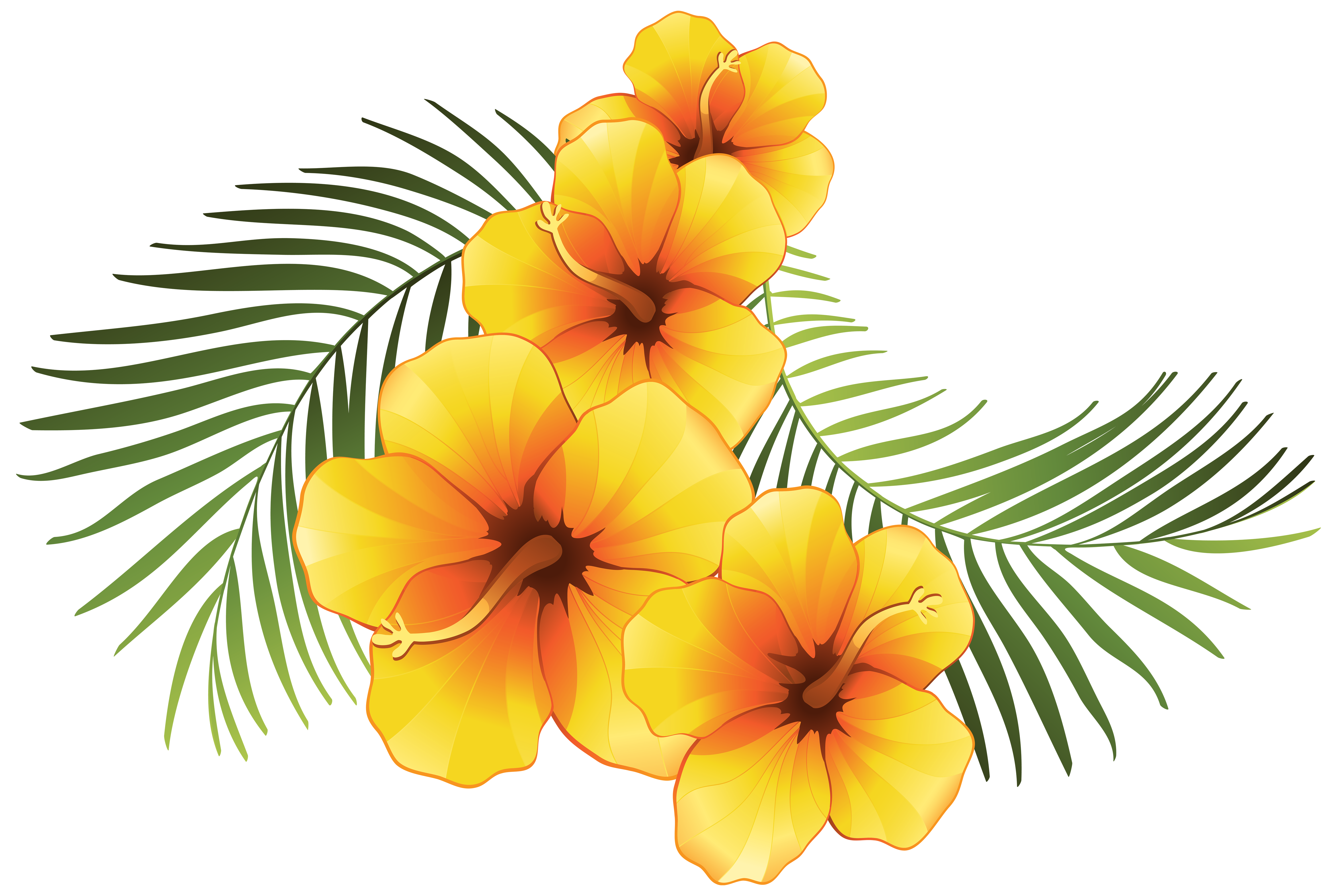 exotic floral decoration transparent png clip art image christmas garlin