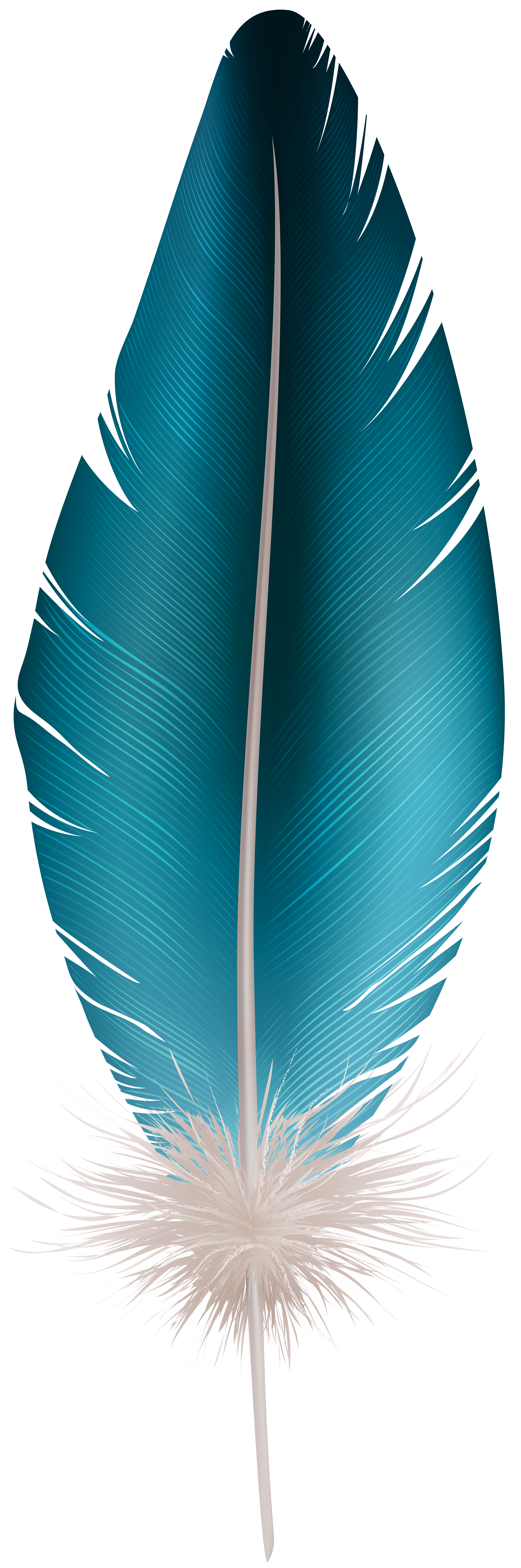 Feather Blue PNG Clip Art Image | Gallery Yopriceville - High-Quality