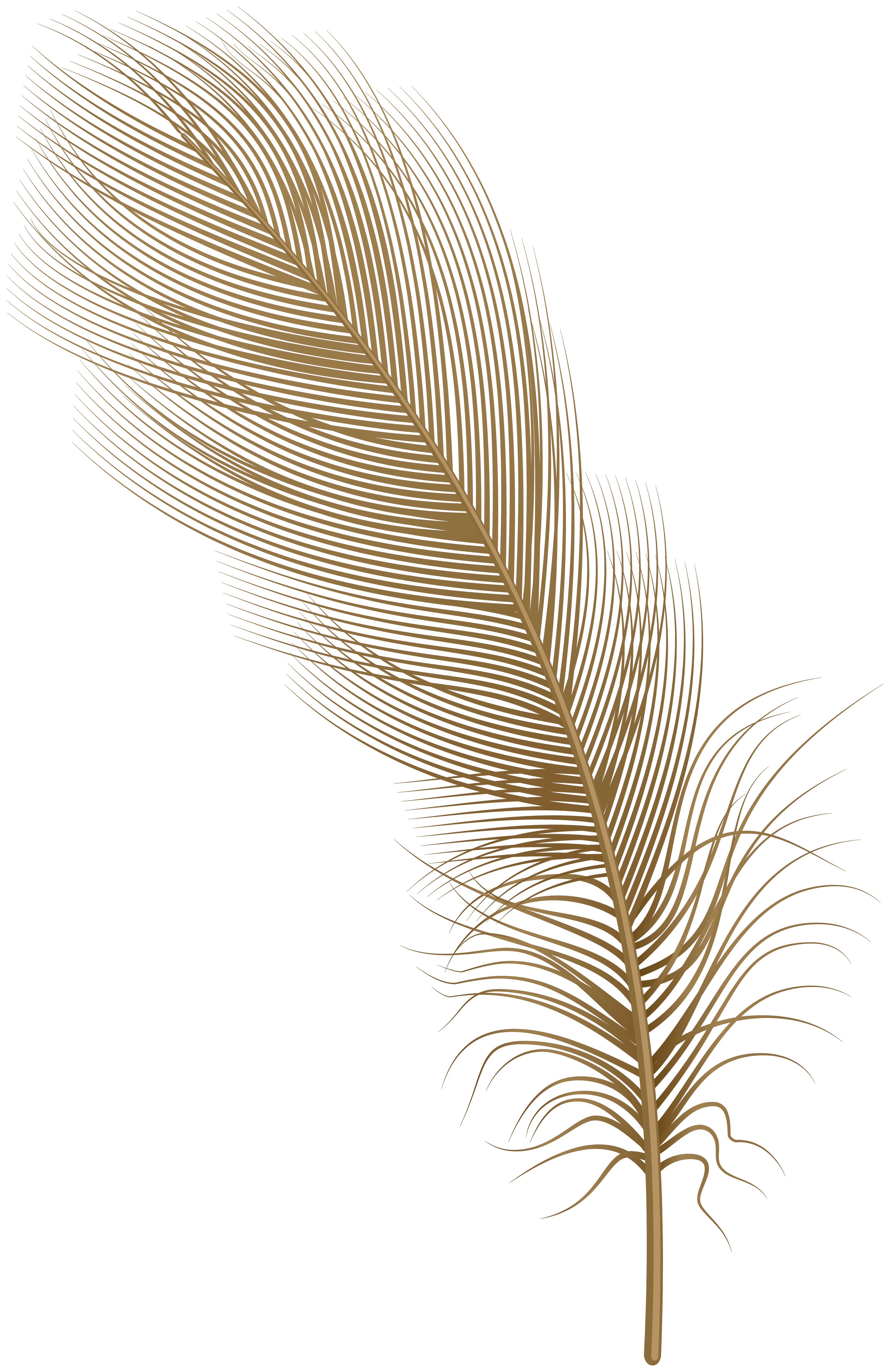 Feathers Clipart Png