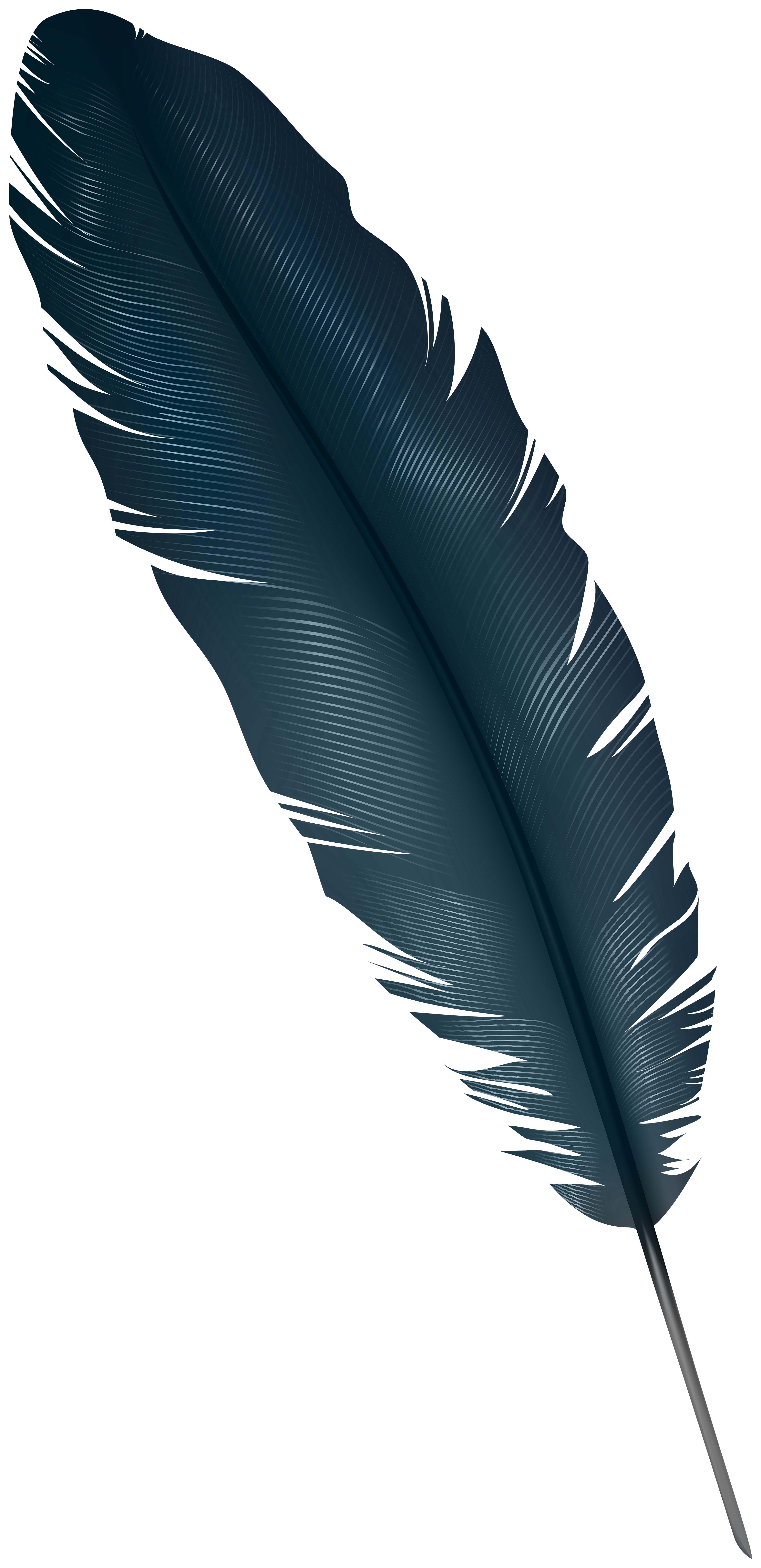 Dark Blue Feathers Background - Stock Photos