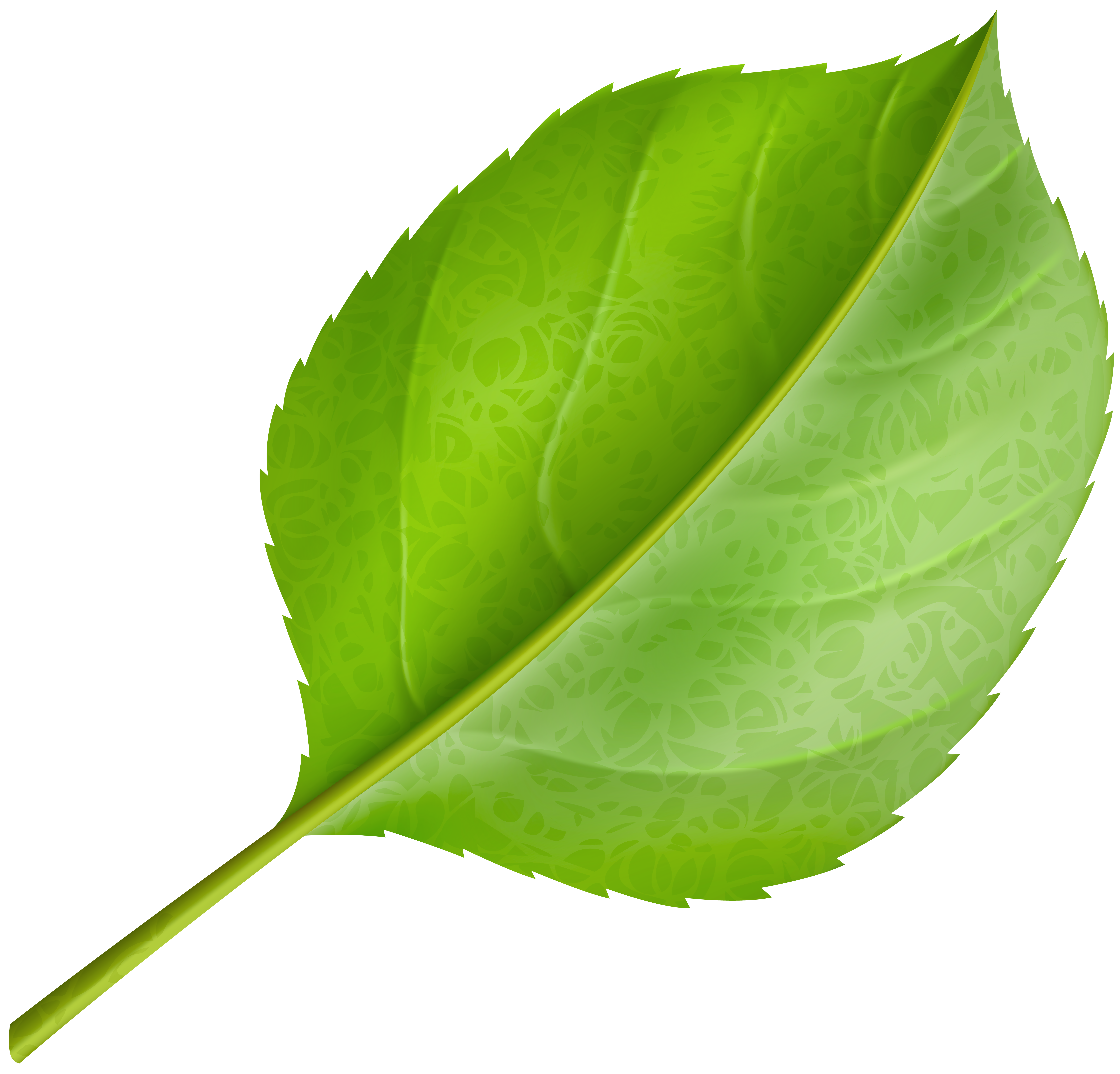 Green Leaf Png Clipart Gallery Yopriceville High Quality Images And Transparent Png Free Clipart