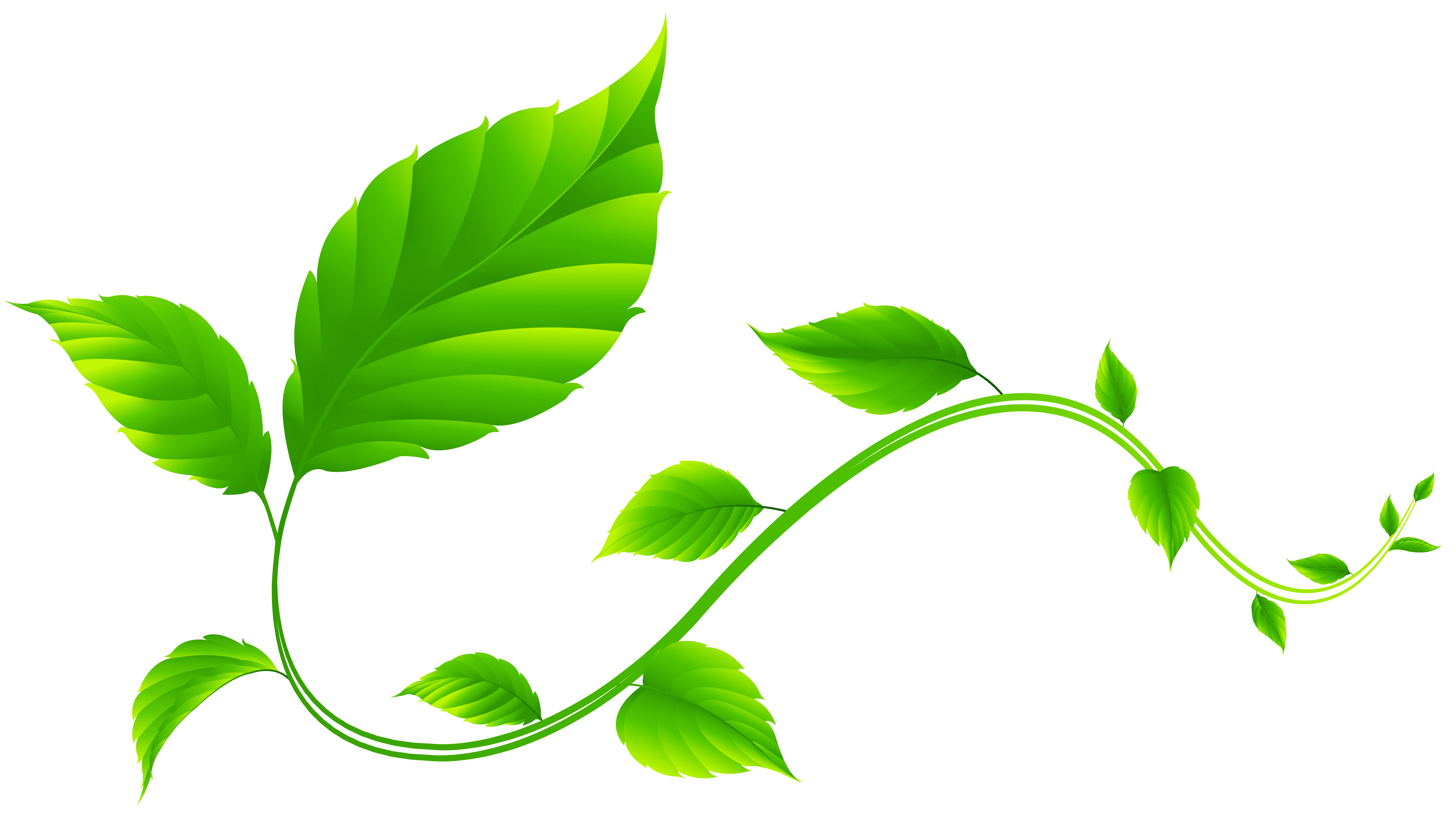 Green Leaves Decoration PNG Transparent Clipart​  Gallery Yopriceville -  High-Quality Free Images and Transparent PNG Clipart