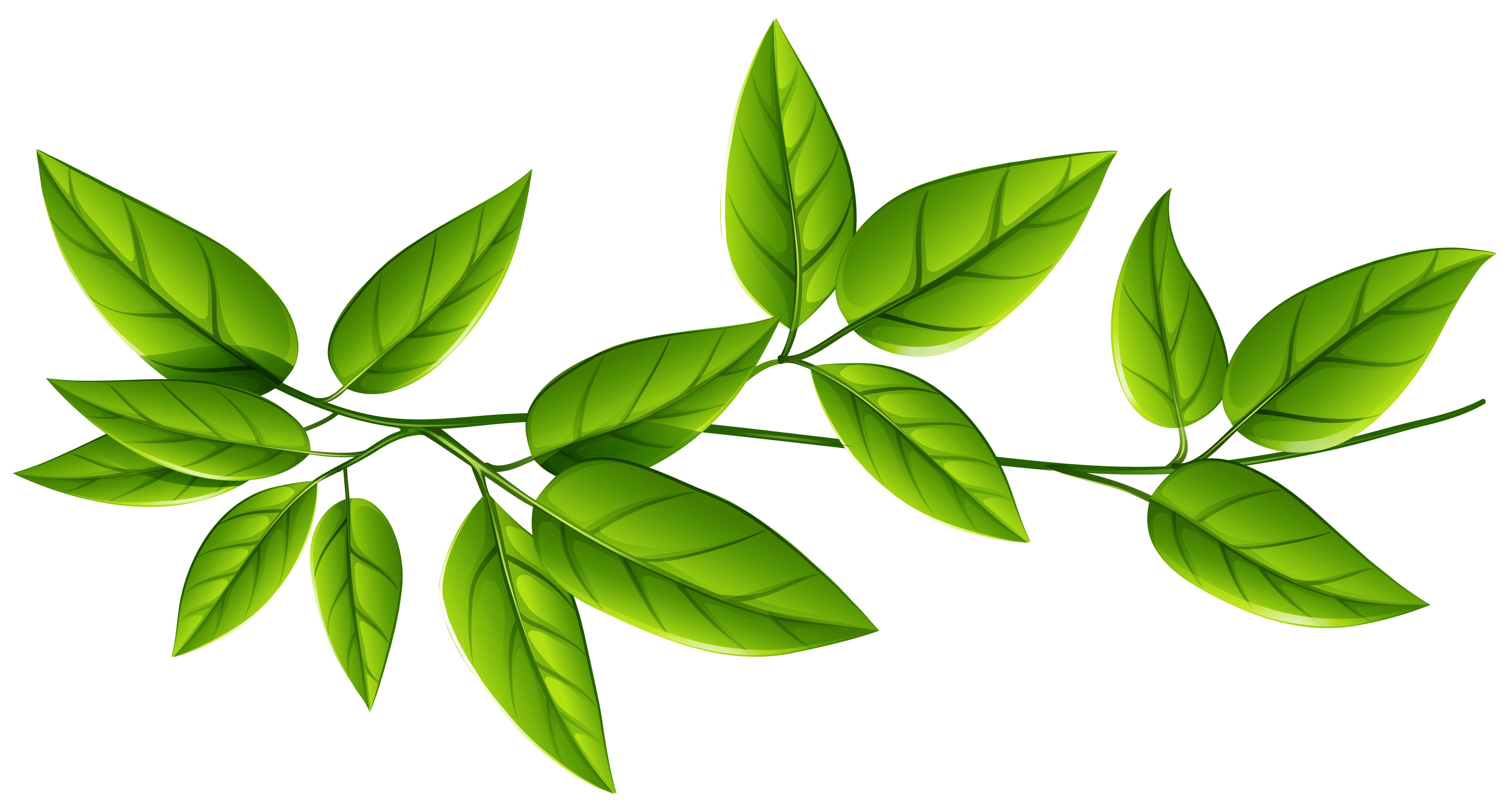 Green Leaves PNG Image | Gallery Yopriceville - High-Quality Free