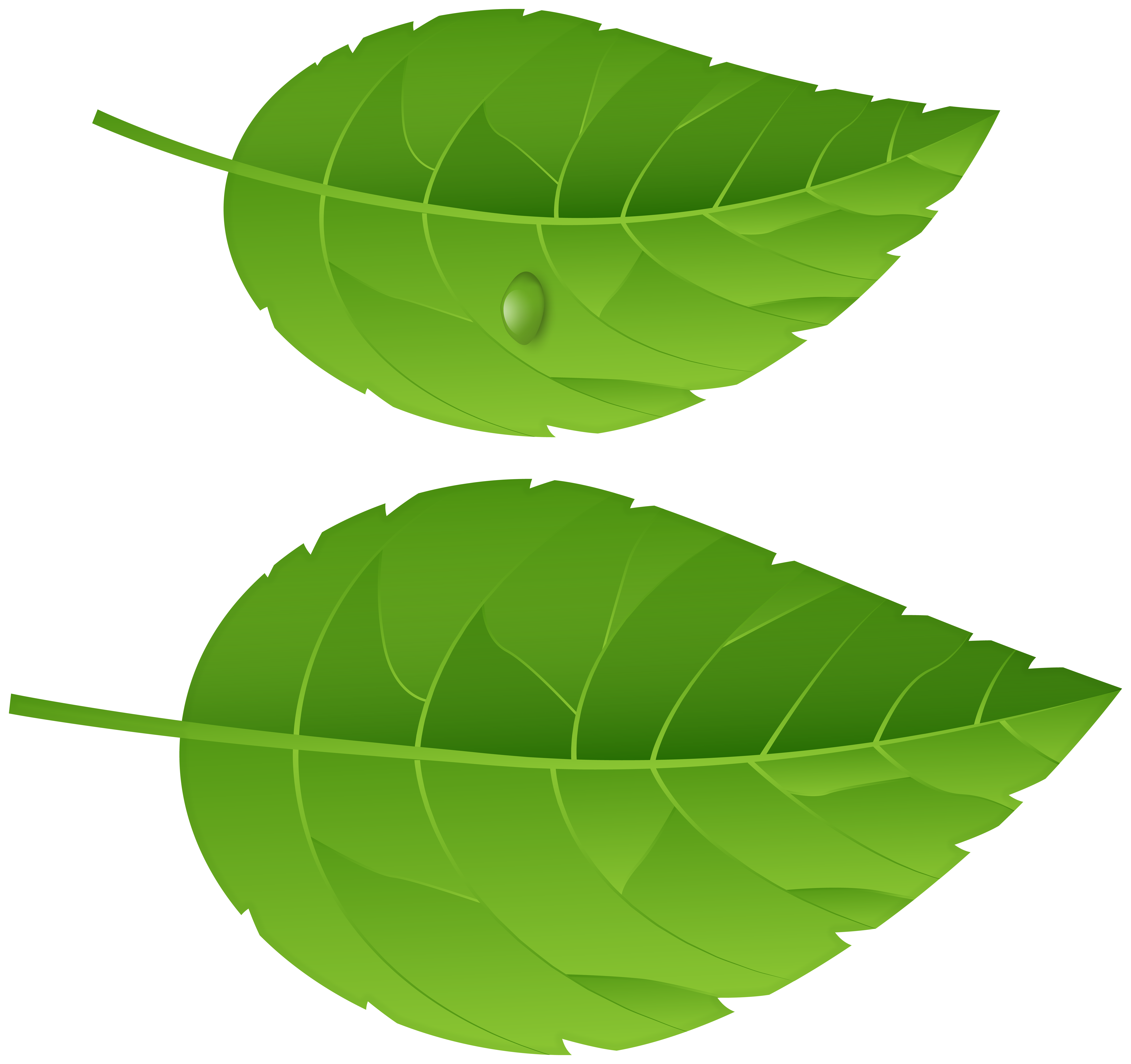 Green Leaves PNG Transparent Image​ | Gallery Yopriceville - High-Quality  Free Images and Transparent PNG Clipart