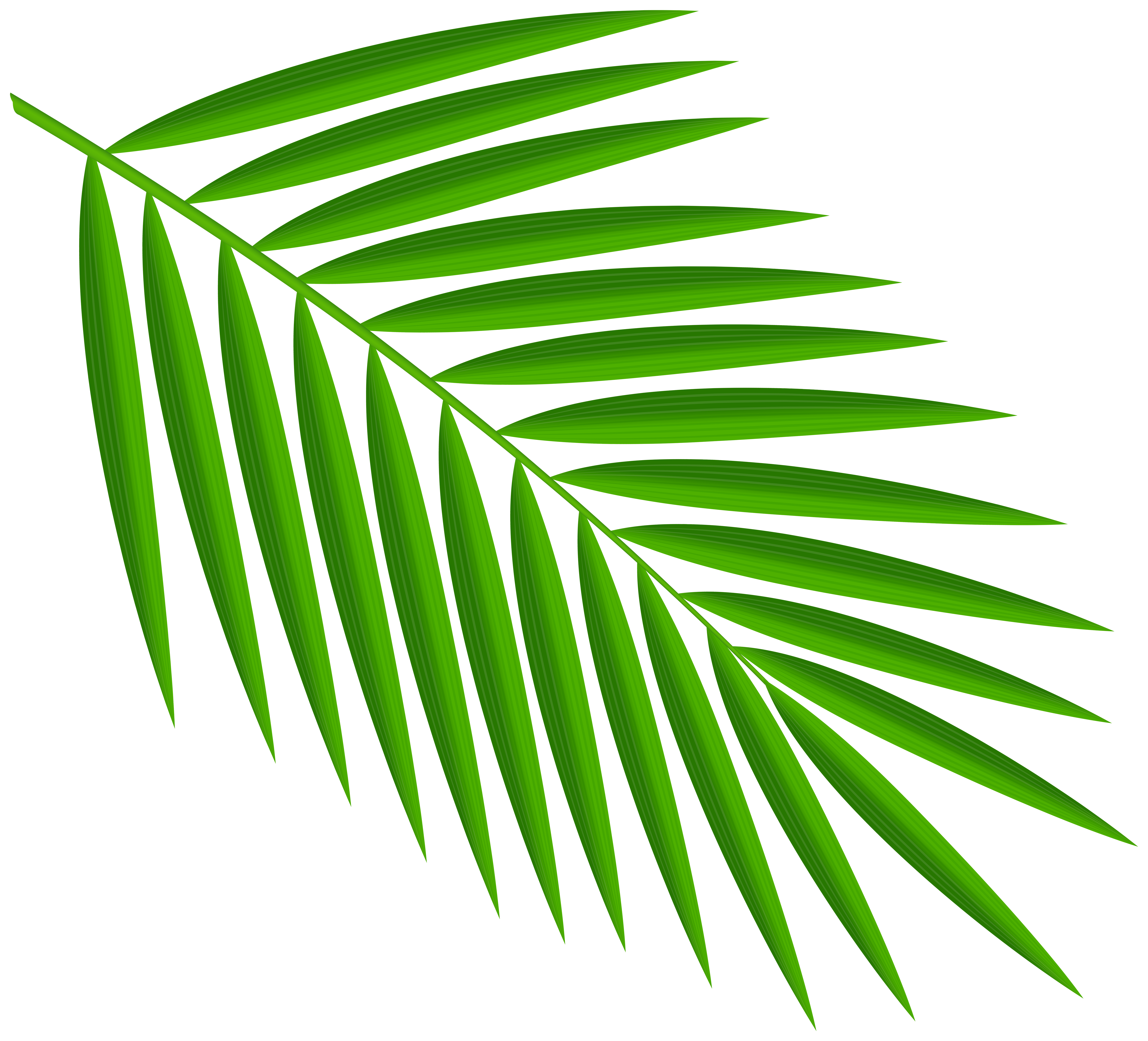 Green Palm Leaves Png Clipart Gallery Yopriceville High Quality Images And Transparent Png Free Clipart