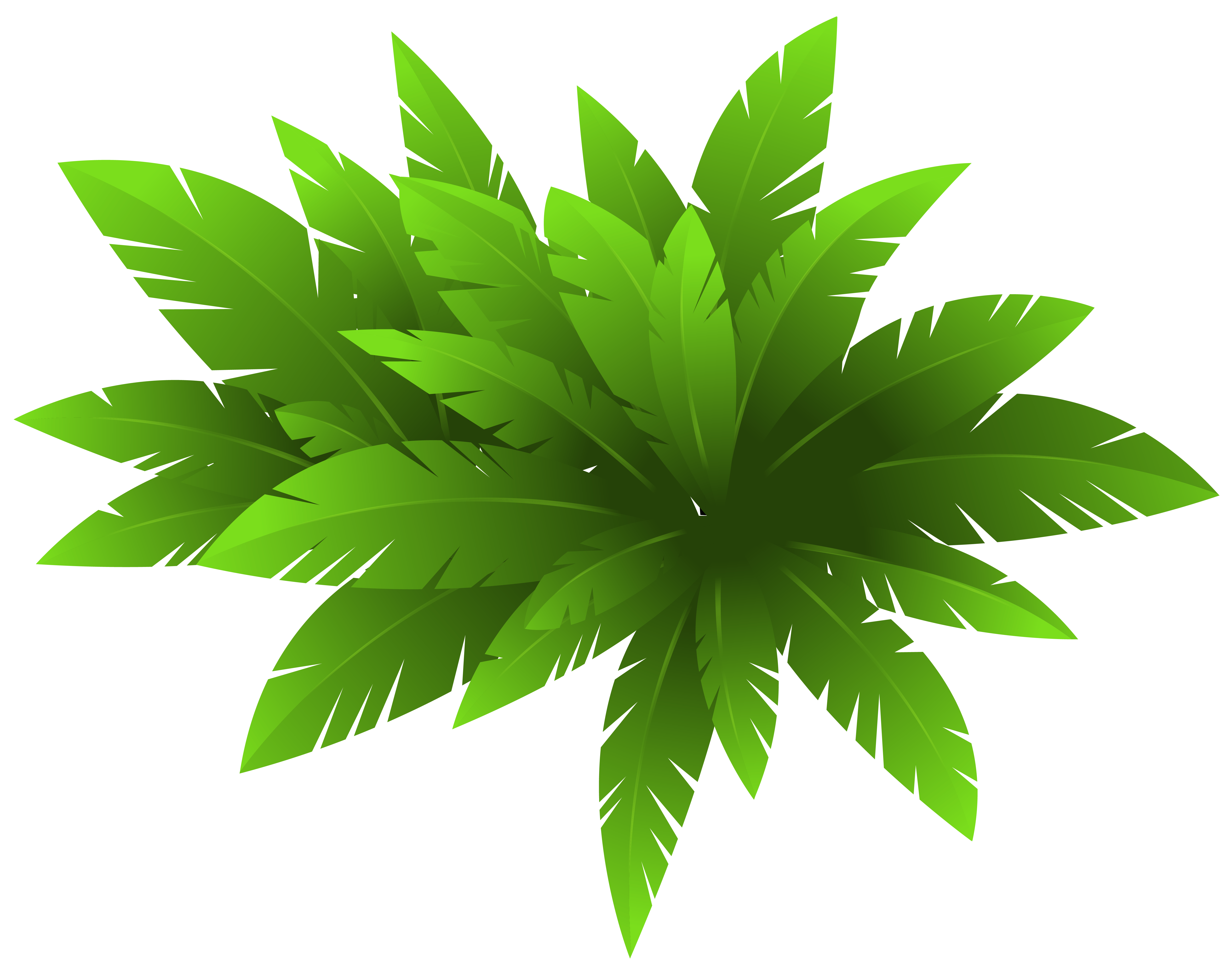 Green Plants Png