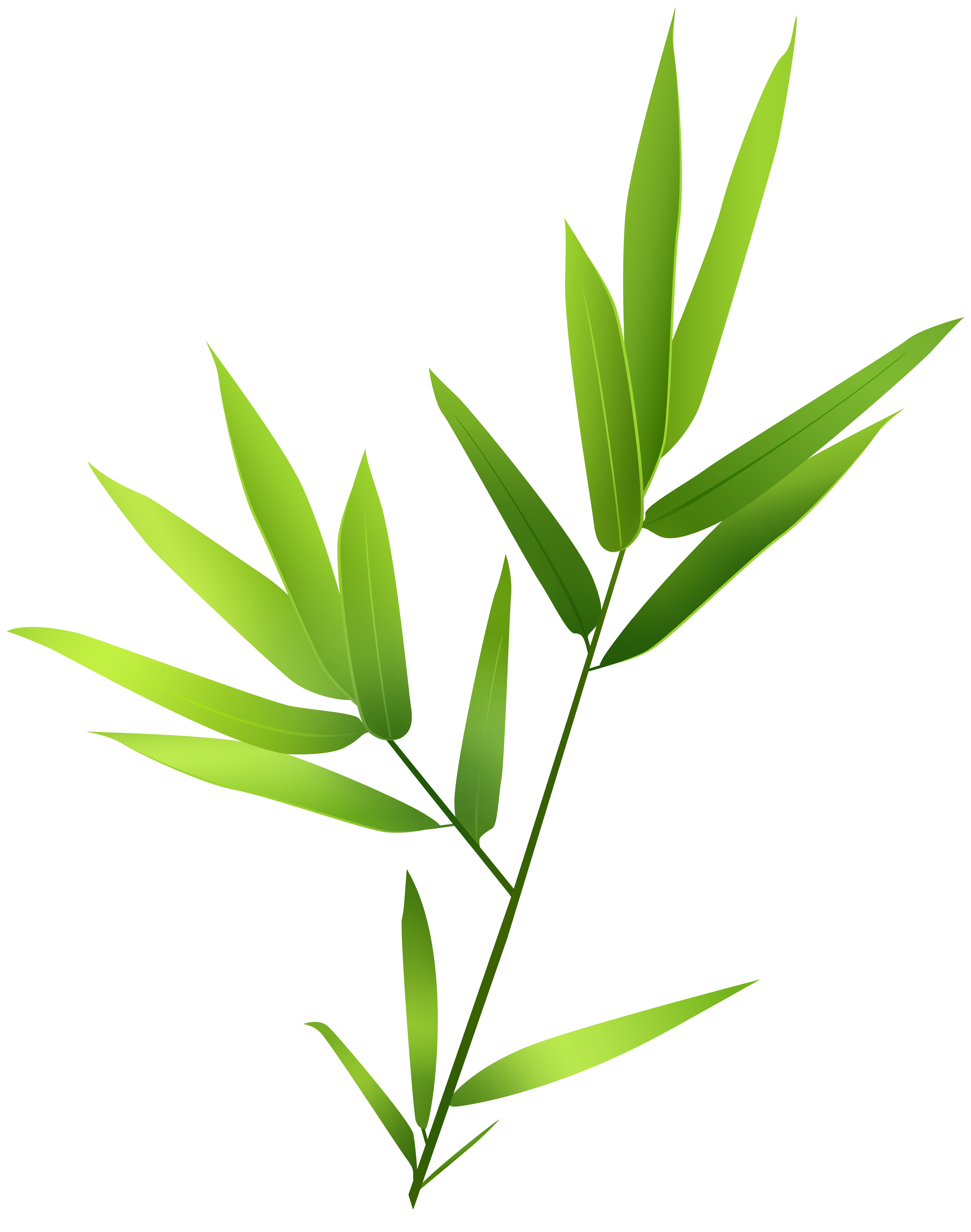 plant png