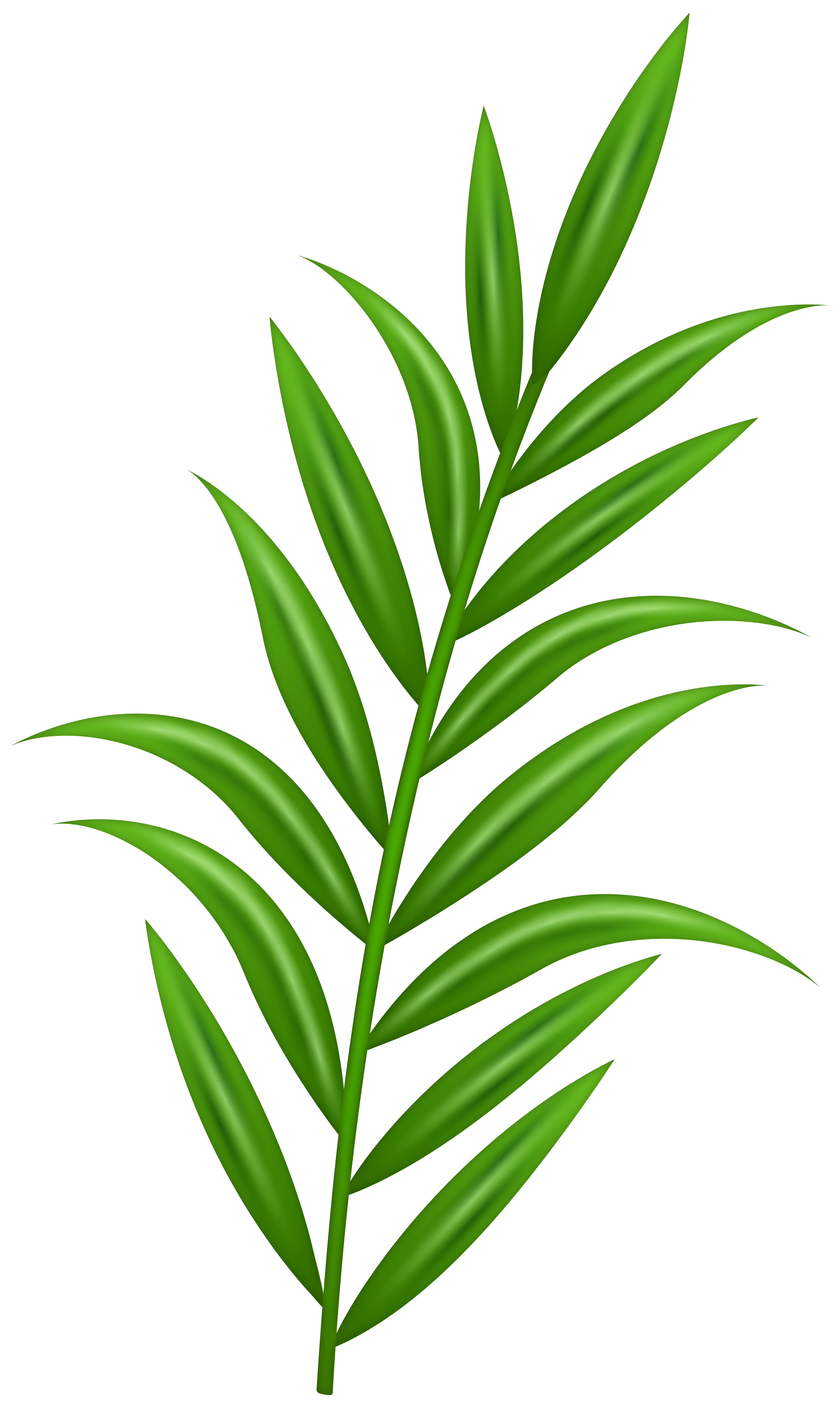 Green Plant PNG Transparent Clipart​ | Gallery Yopriceville - High-Quality  Free Images and Transparent PNG Clipart