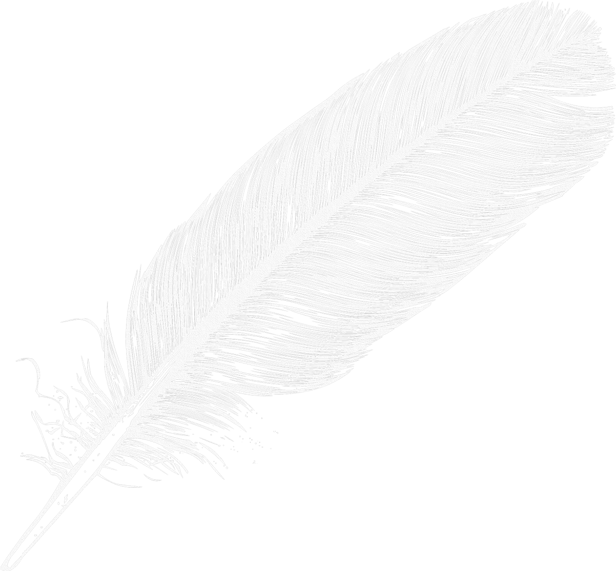 White Feather PNG Clip Art Image​  Gallery Yopriceville - High-Quality  Free Images and Transparent PNG Clipart