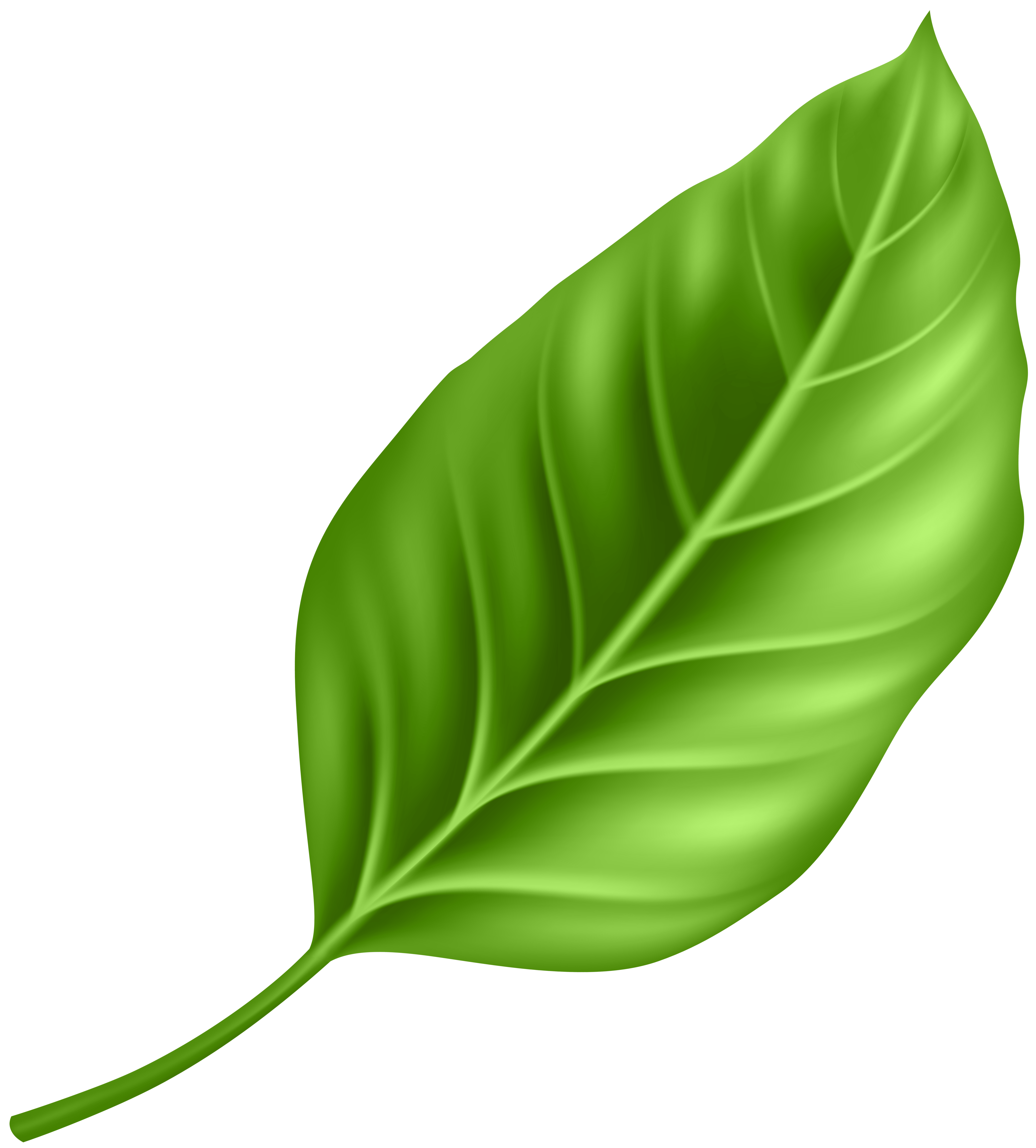 Leaf PNG Clipart | Gallery Yopriceville - High-Quality Free Images and