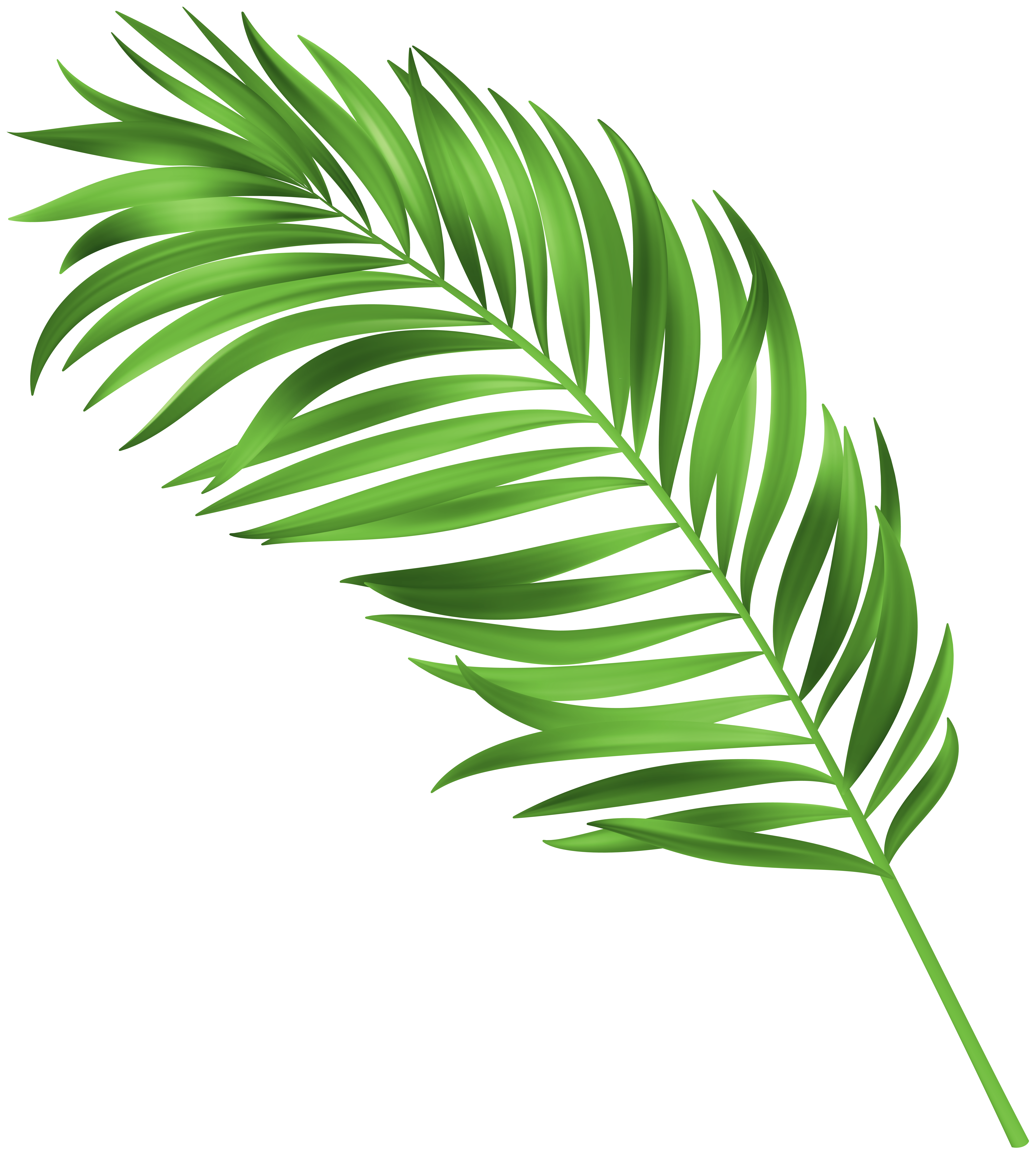 Green Leaves Decoration PNG Transparent Clipart​  Gallery Yopriceville -  High-Quality Free Images and Transparent PNG Clipart