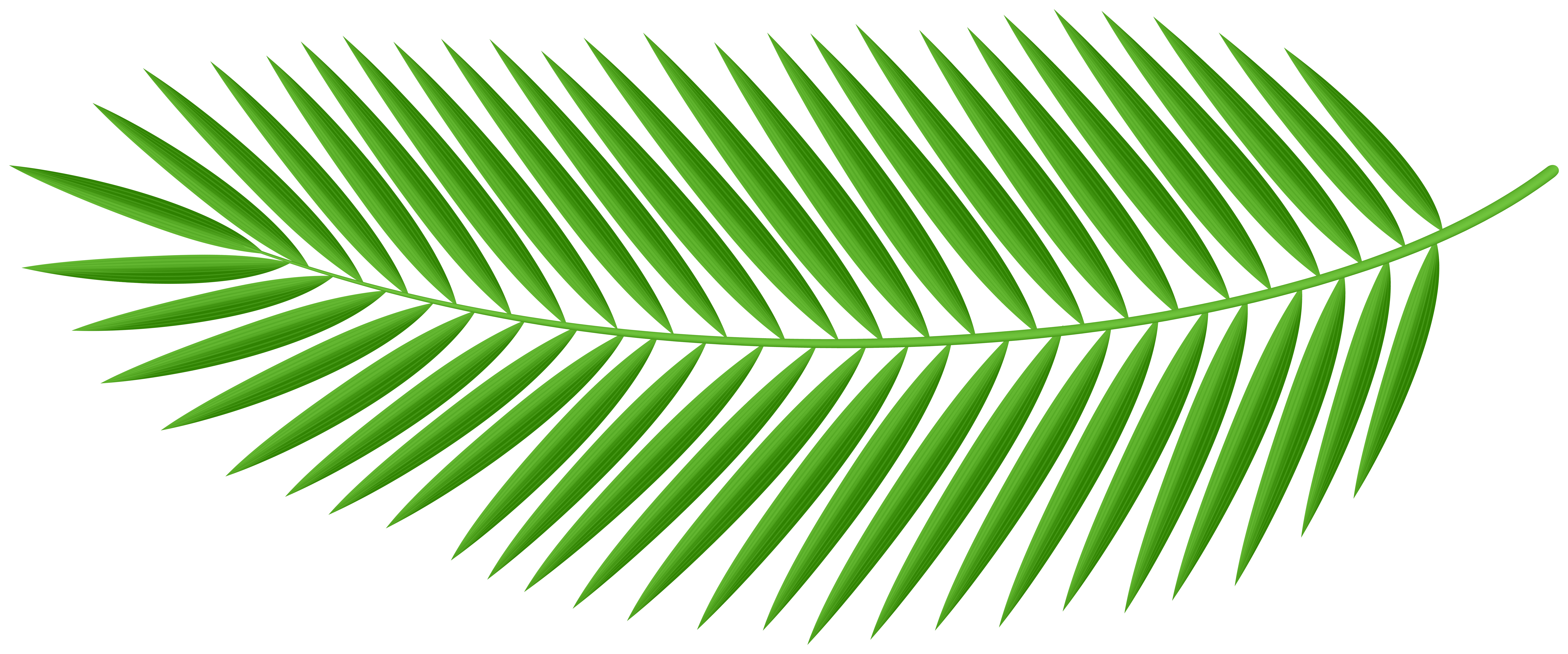 Palm Leaf Green PNG Clipart​ | Gallery Yopriceville - High-Quality Free  Images and Transparent PNG Clipart