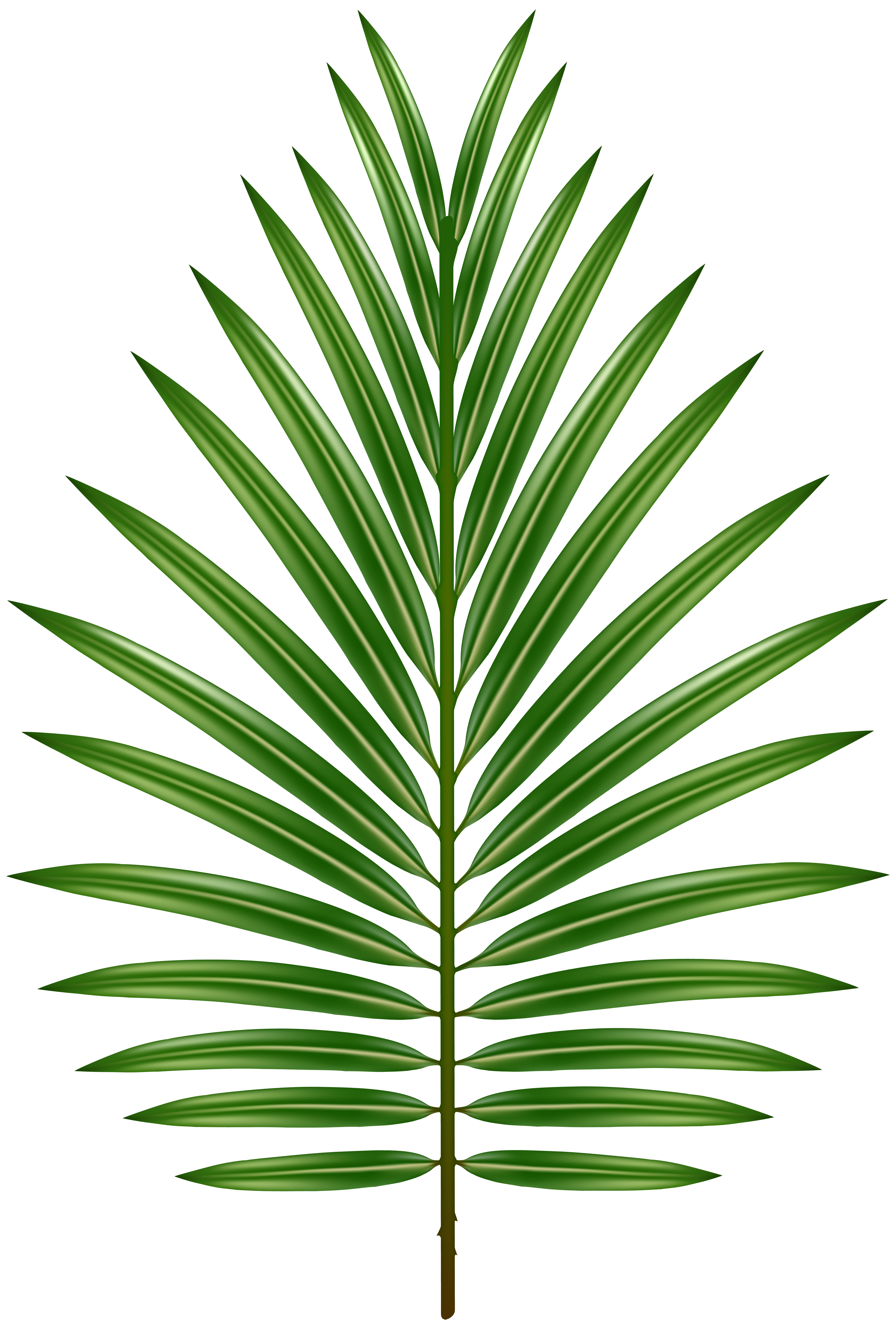 Green Leaves PNG Image​  Gallery Yopriceville - High-Quality Free Images  and Transparent PNG Clipart