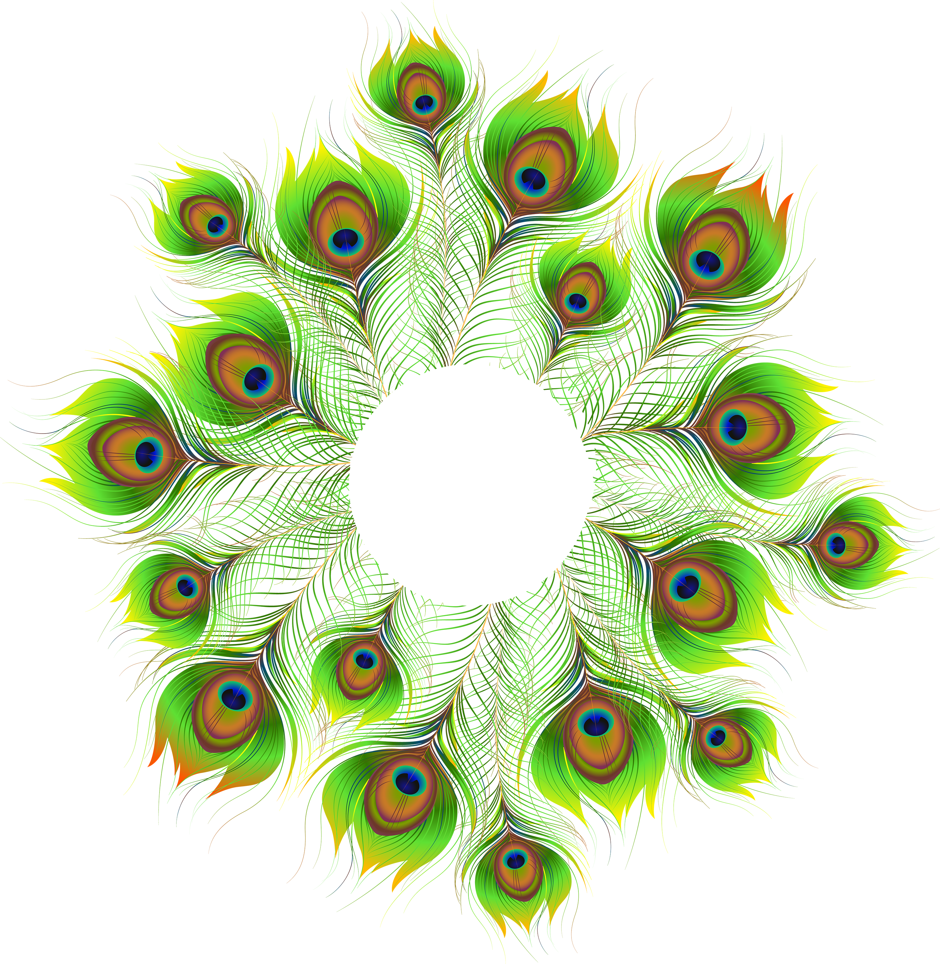 Peacock Feather Decoration PNG Clip Art Image Gallery Peacock Feather Decoration PNG Clip Art Image Gallery