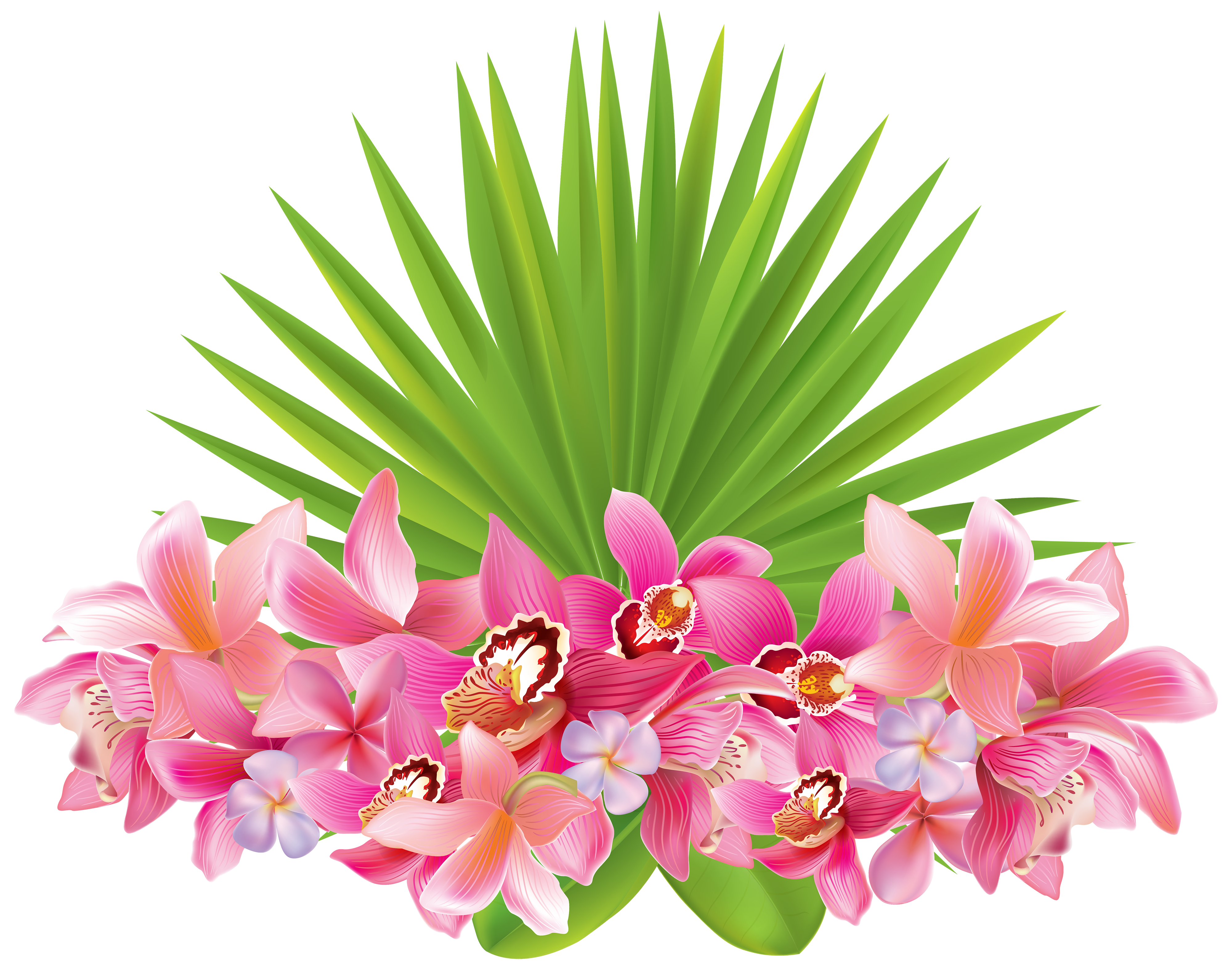 tropical flowers png clipart image gallery yopriceville moving christmas lights