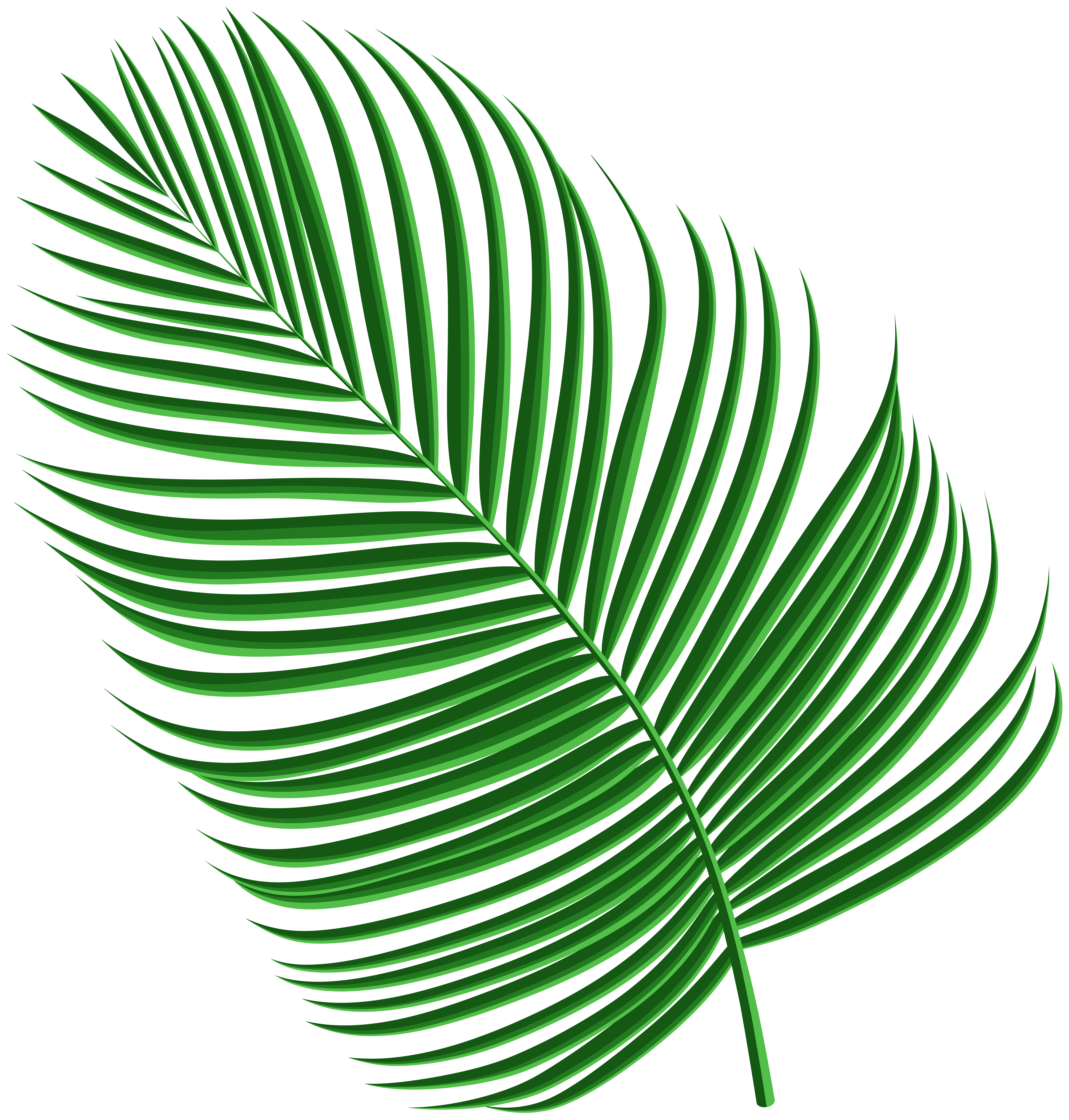Tropical Palm Leaf Png Clipart Gallery Yopriceville High Quality Images And Transparent Png Free Clipart