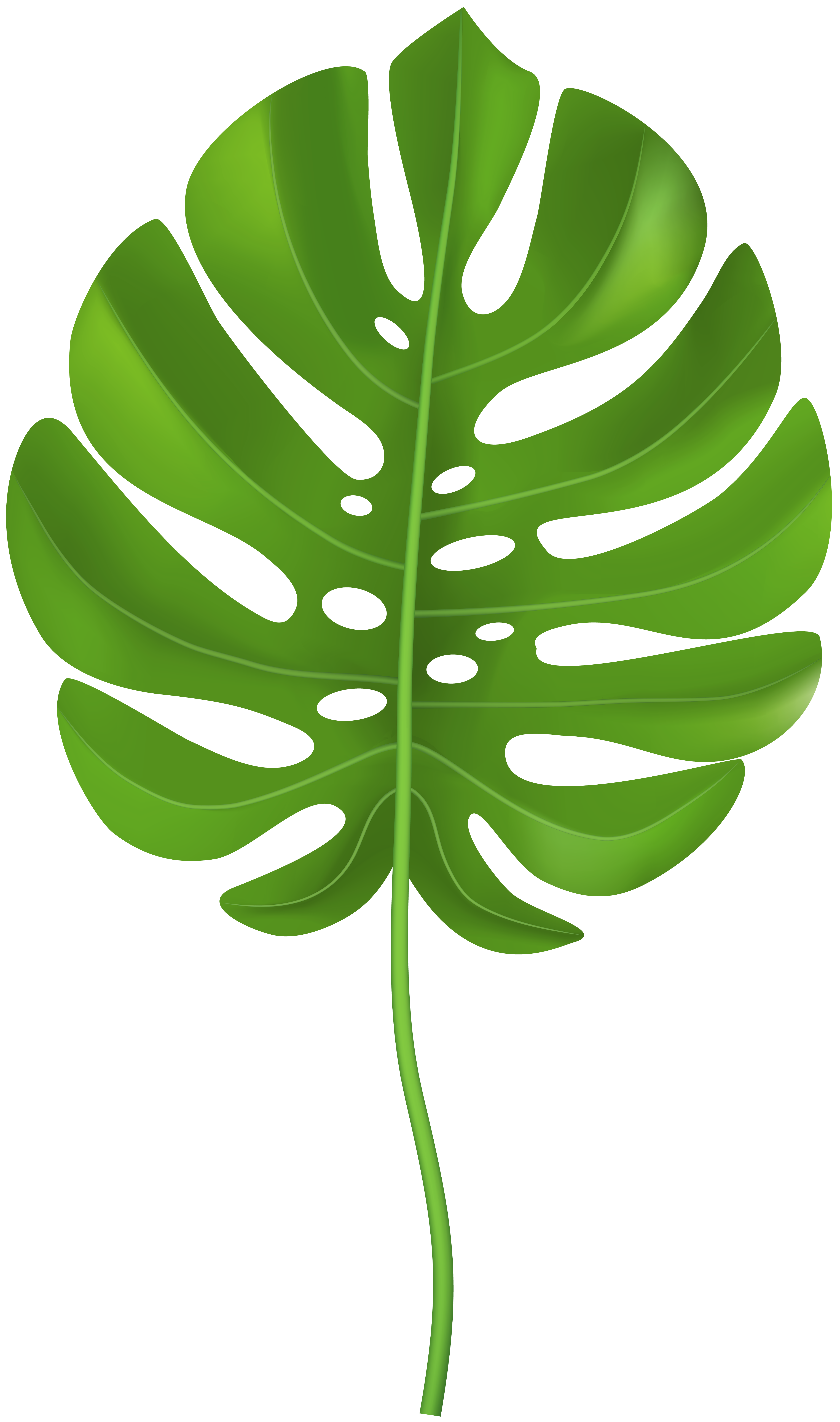 Tropical Leaf Clip Art