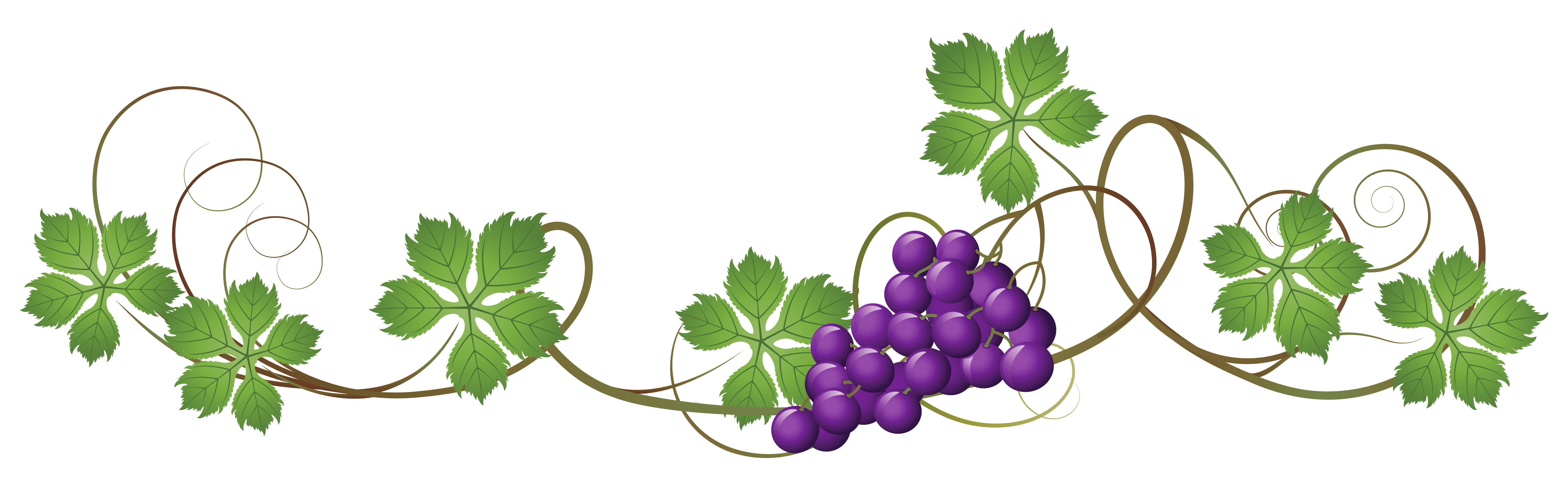 Grape Vine Png