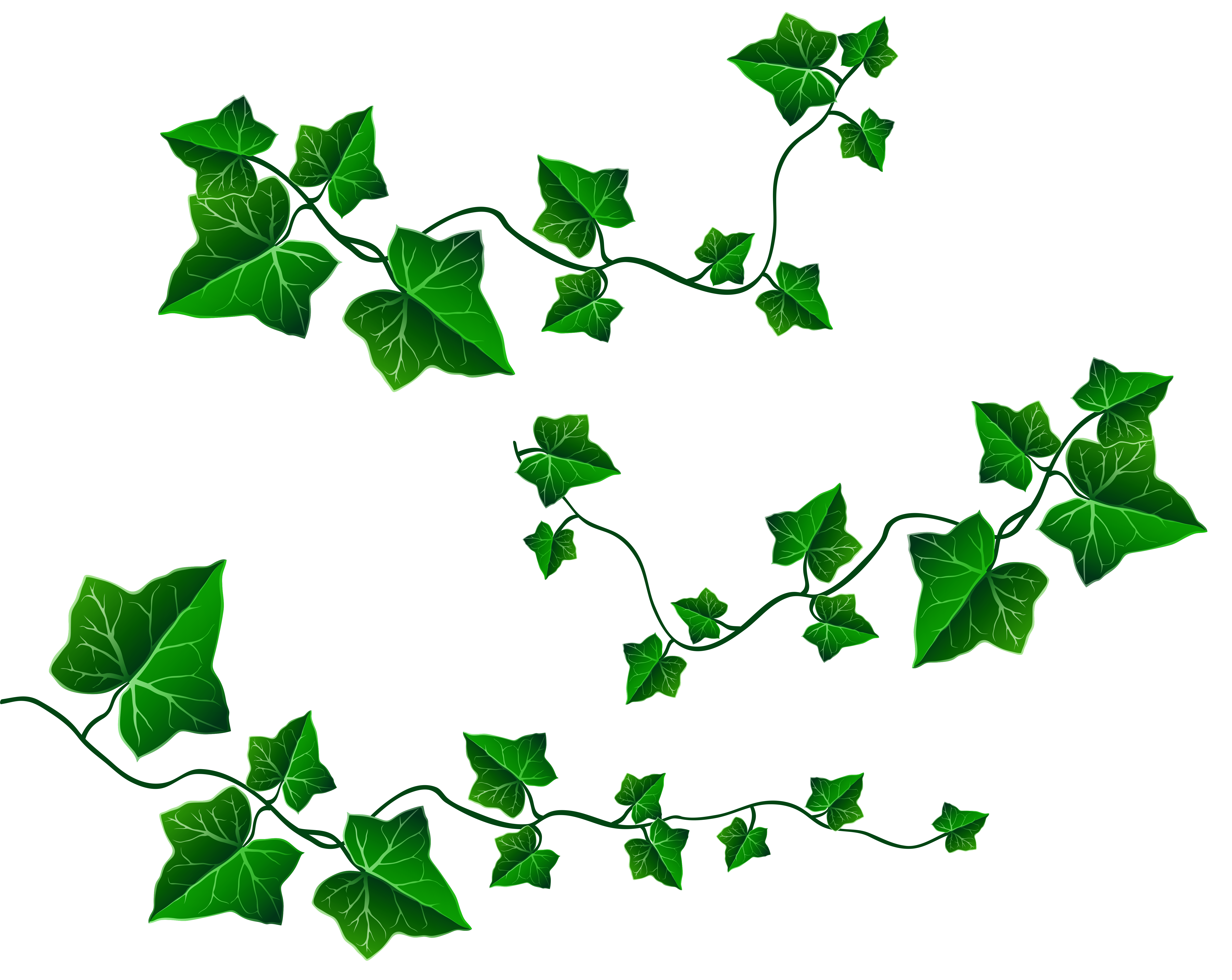 leafy vines clip art